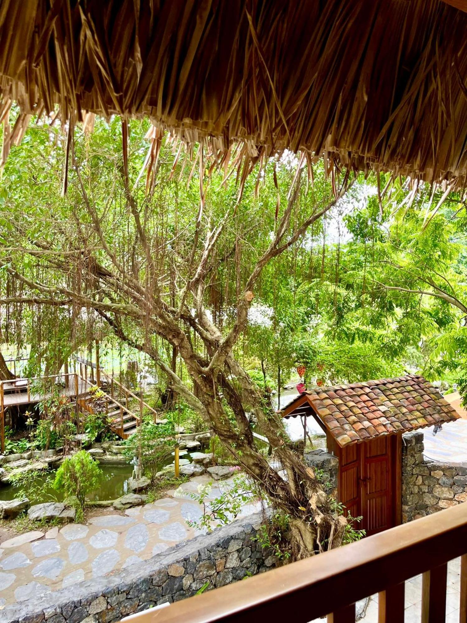 Hang Mua 4* Ninh Bình