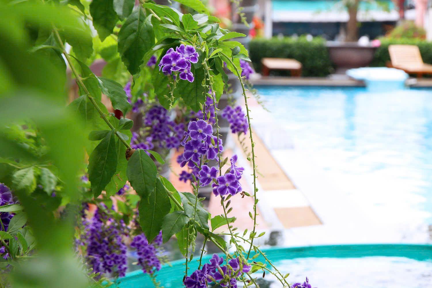 Ha Phuong Hotel Mui Ne