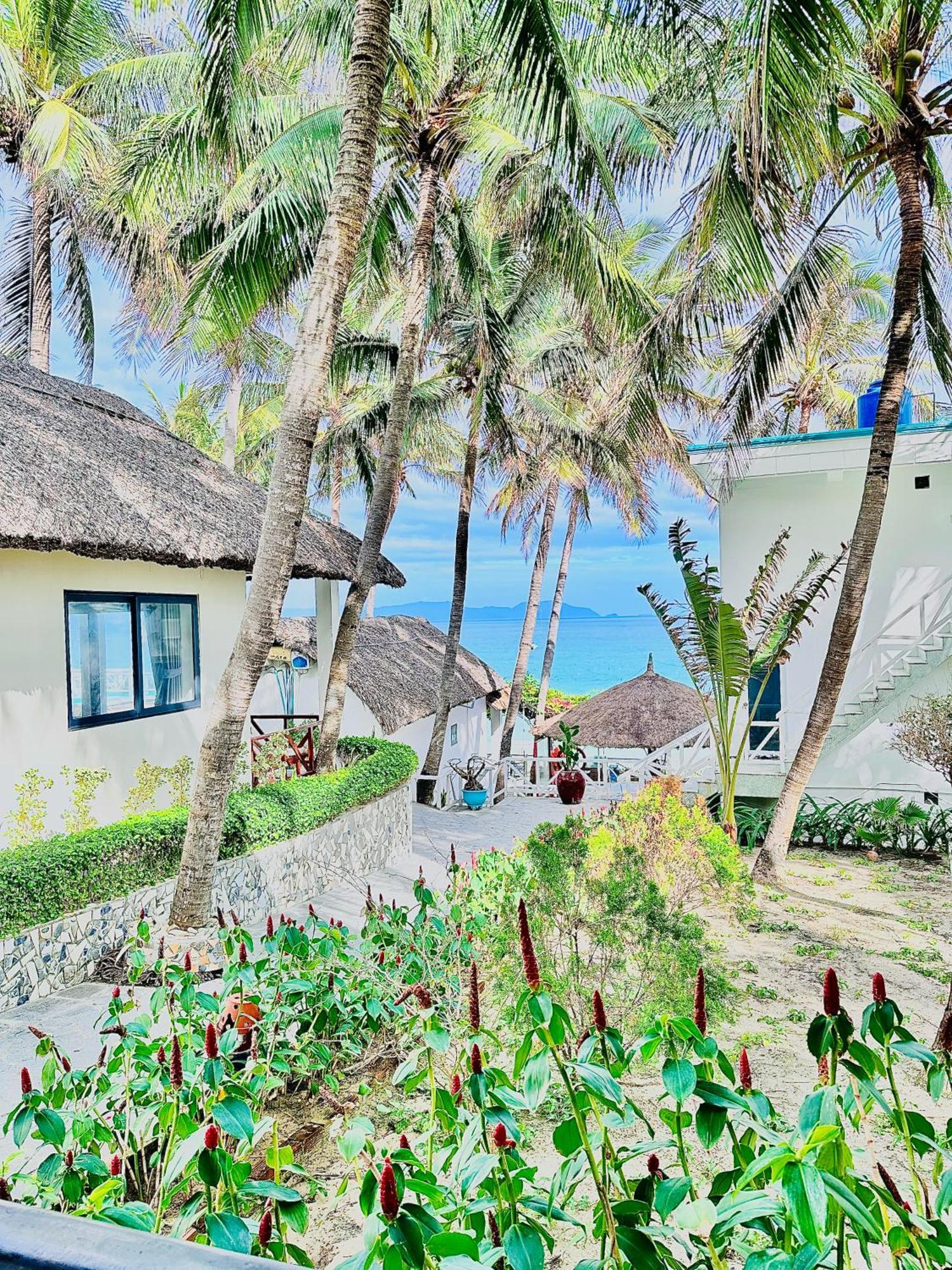 Paradise Doc Let