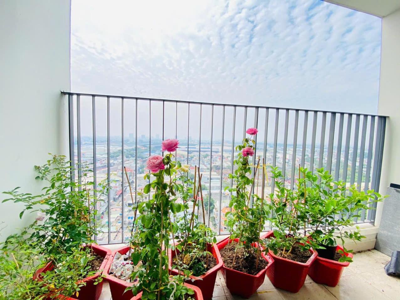 Bcons Garden View Landmark 81 Apartment