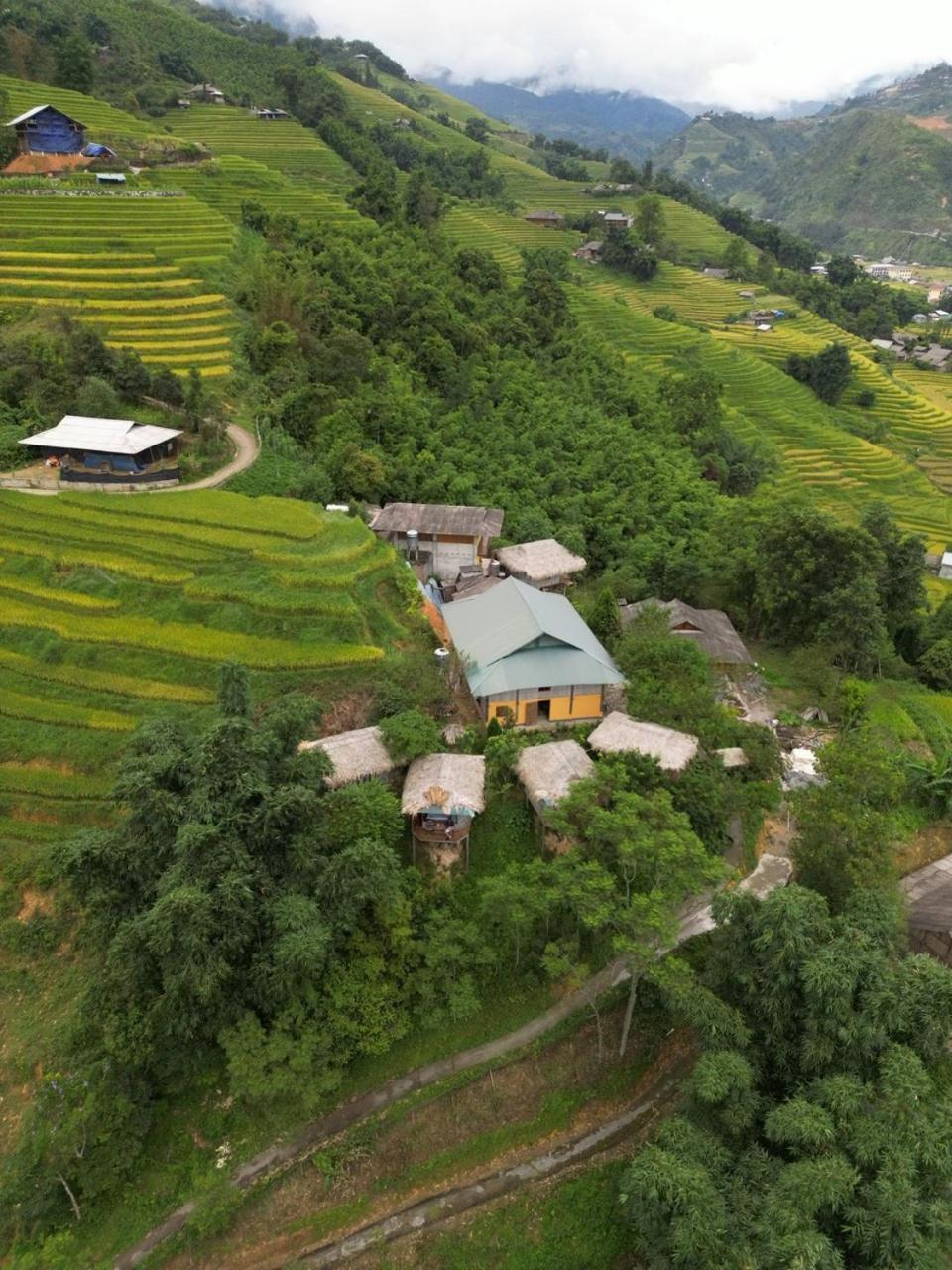 Eco Hills Sapa