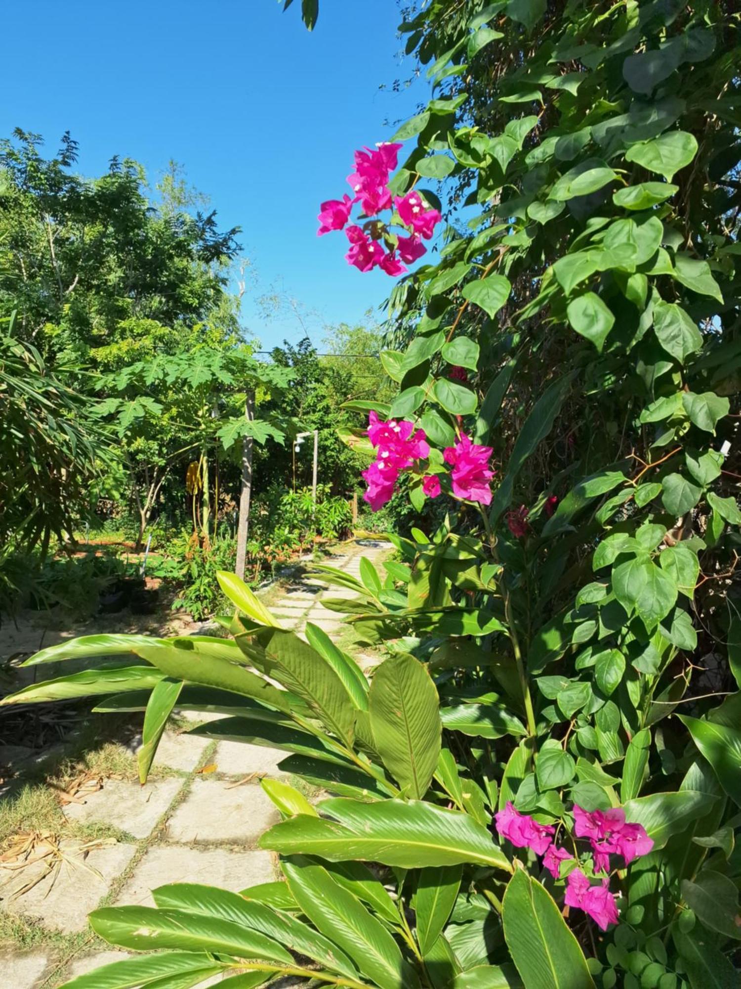 Homestay Phu Tuy Hoa