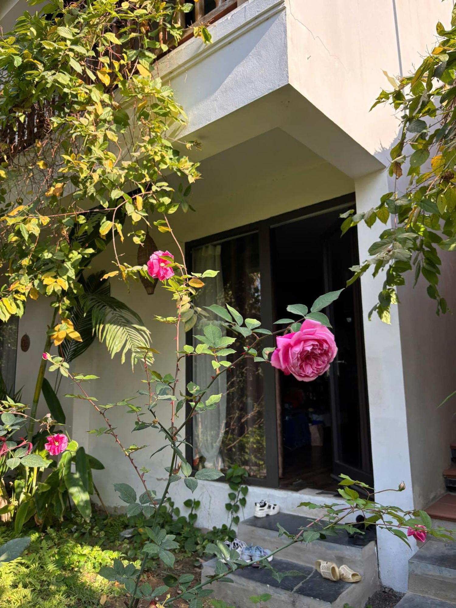 Nan House - Tam Coc Hotel Ninh Binh