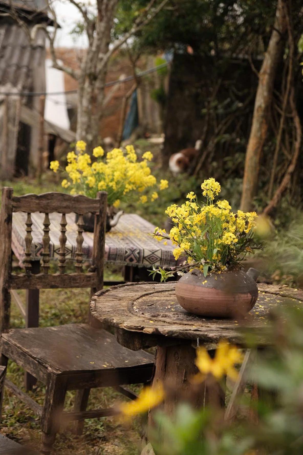 La Beaute Homestay Bac Ha (Lao Cai)