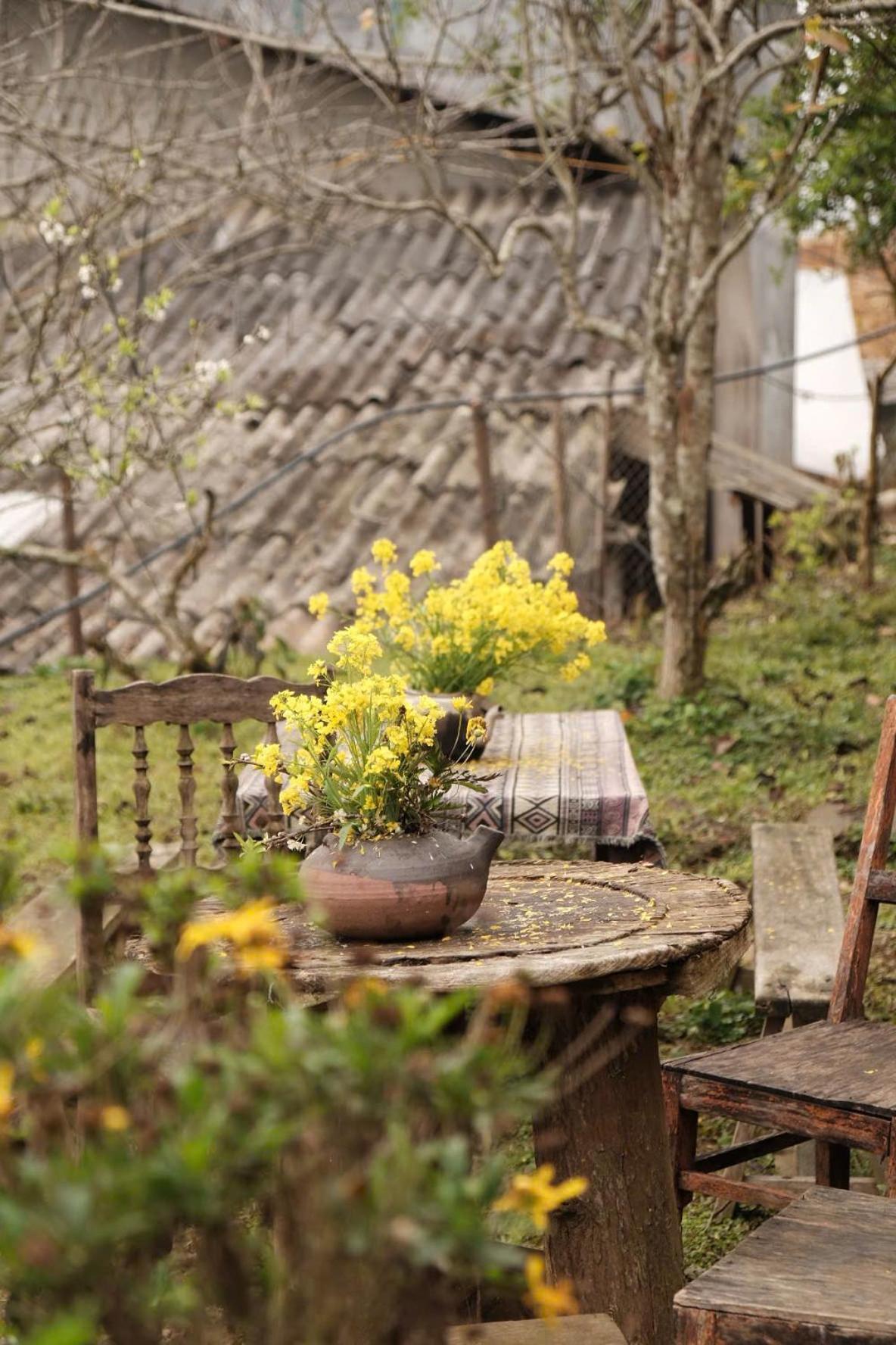 La Beaute Homestay