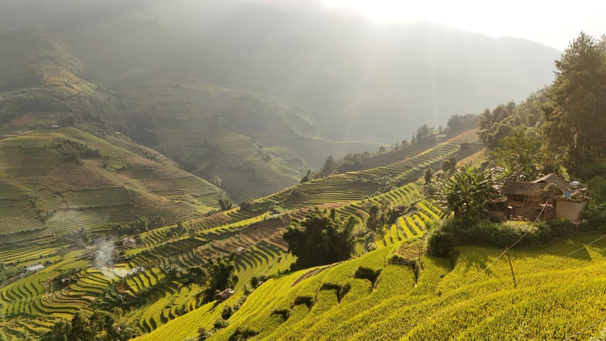 Big View Homestay, Tour & Vegetarian *