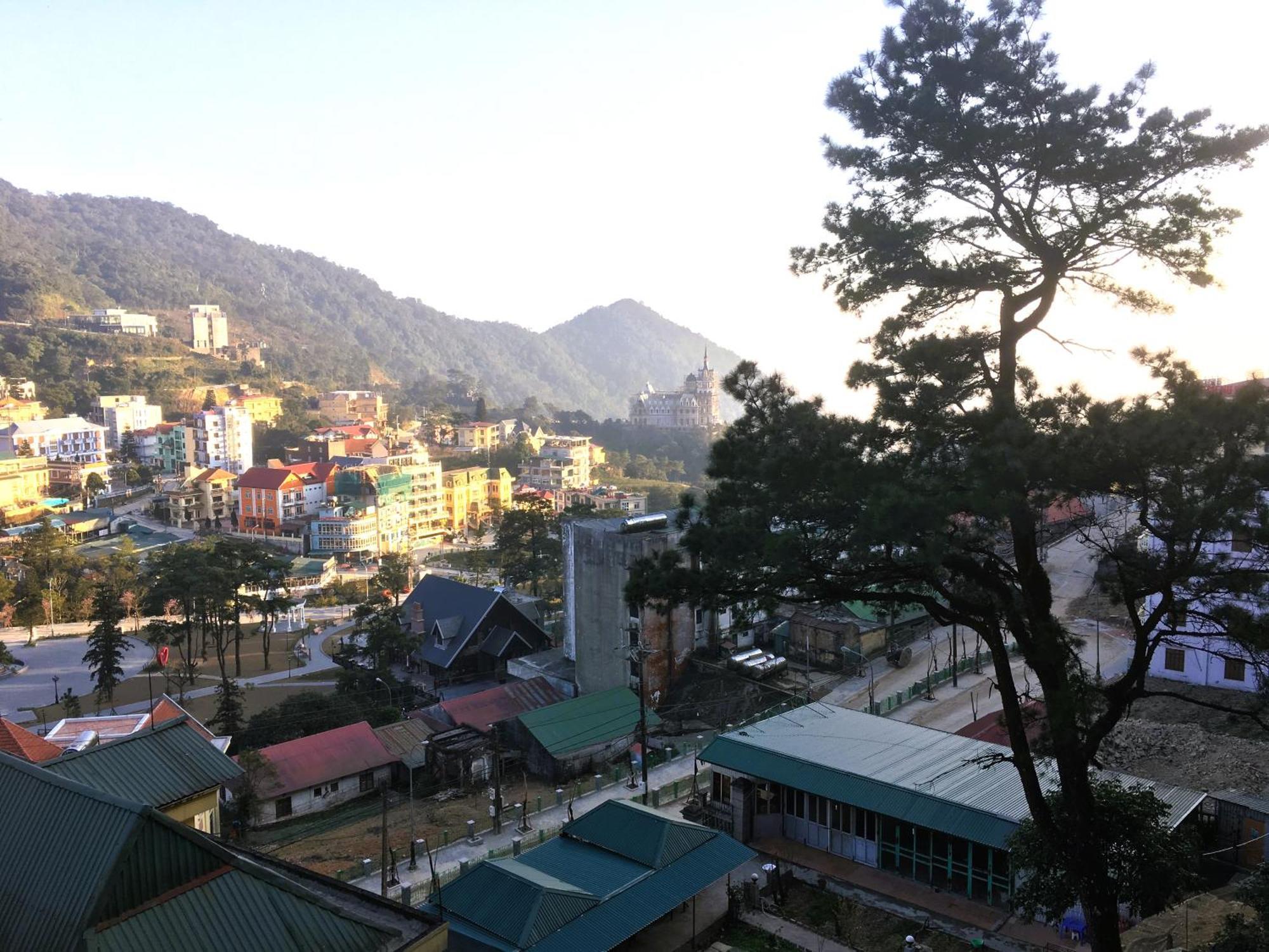 Chan Tam Dao