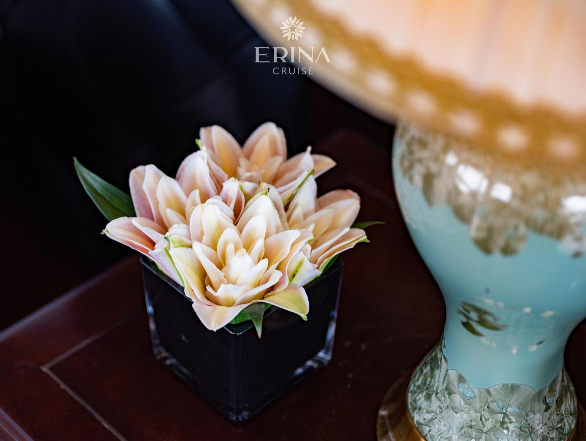 Rosa Cruise 5* Hạ Long