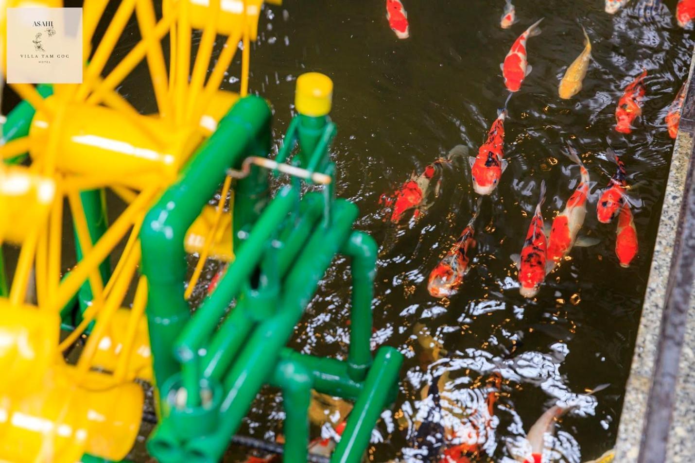 Khách sạn Tam Coc Asahi 3*