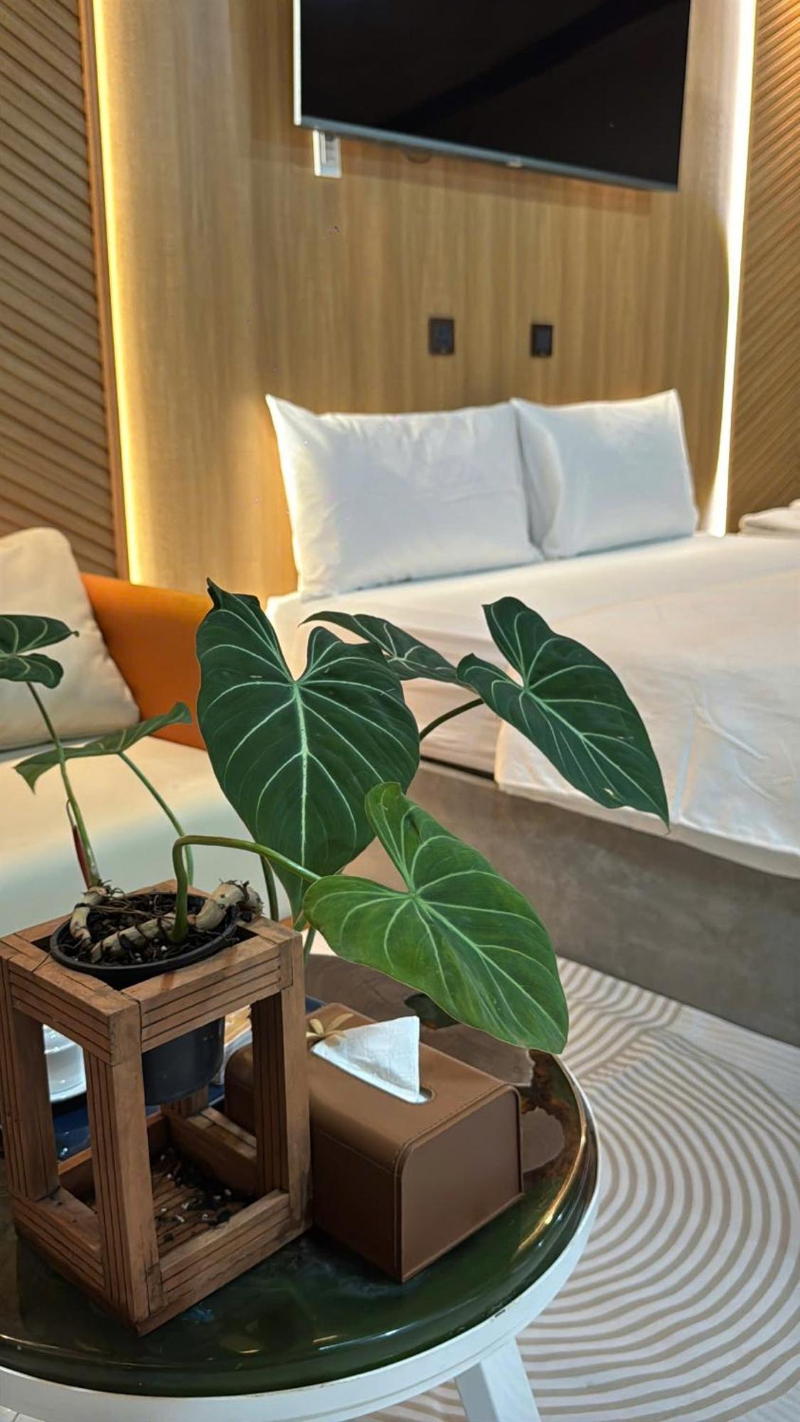 Bed & Breakfast La Garden Long Xuyen