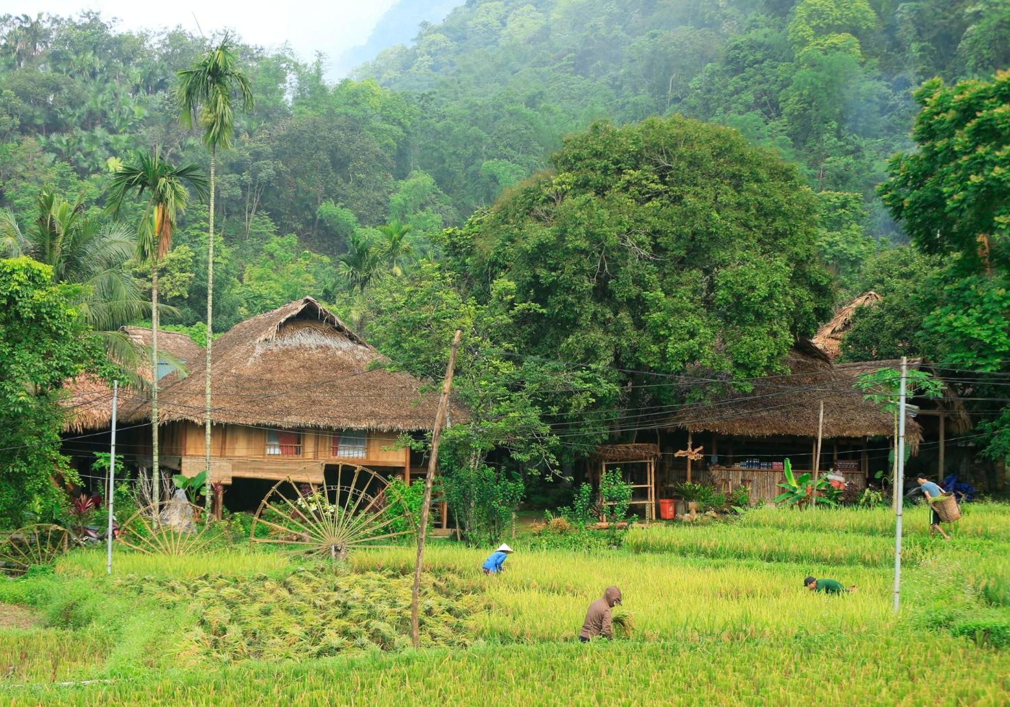 Thai House Pu Luong - Century Old Stilt House With Terrace Views Lodge *