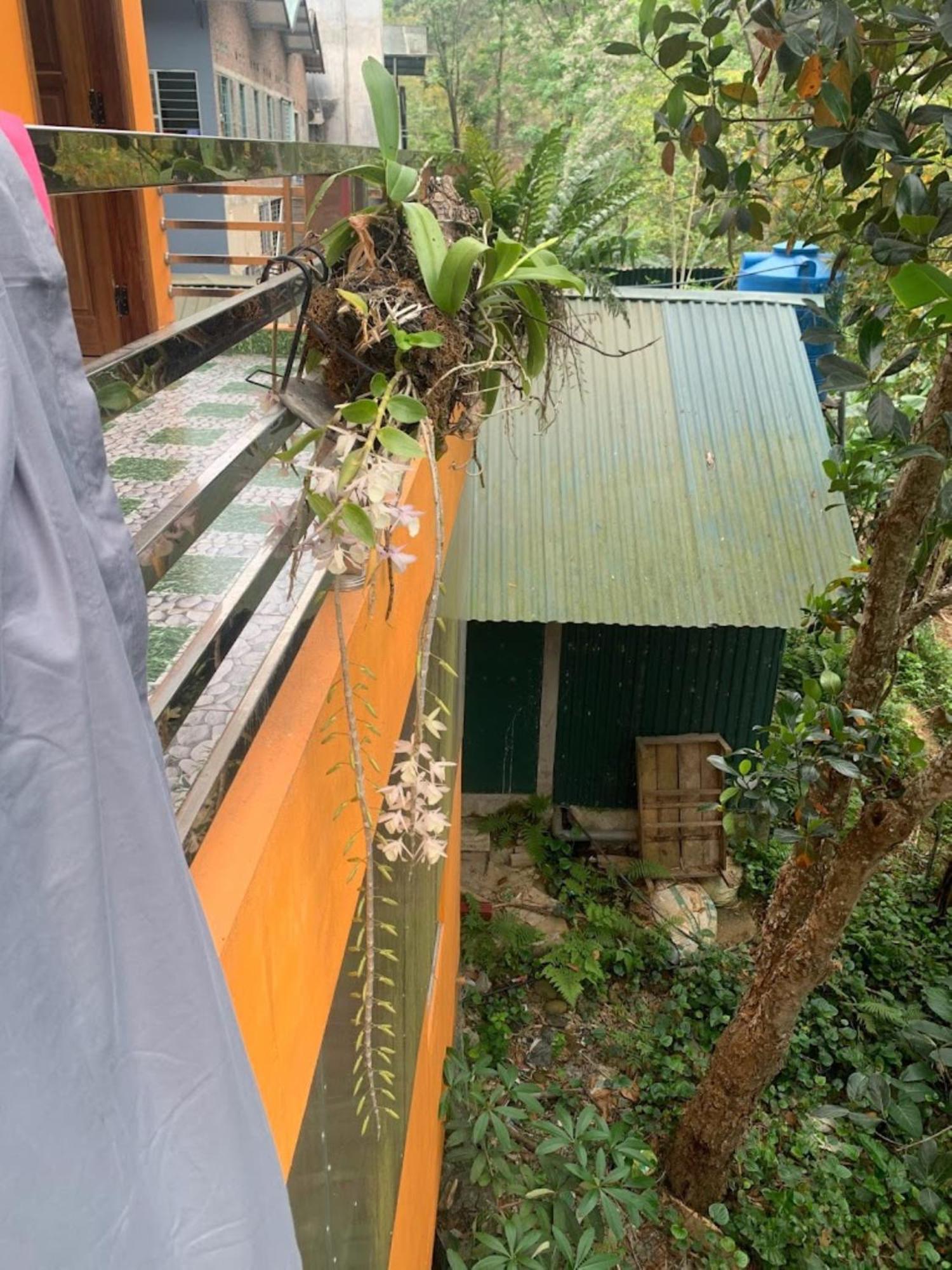 Bed & Breakfast Nhu Quynh Bao Lac