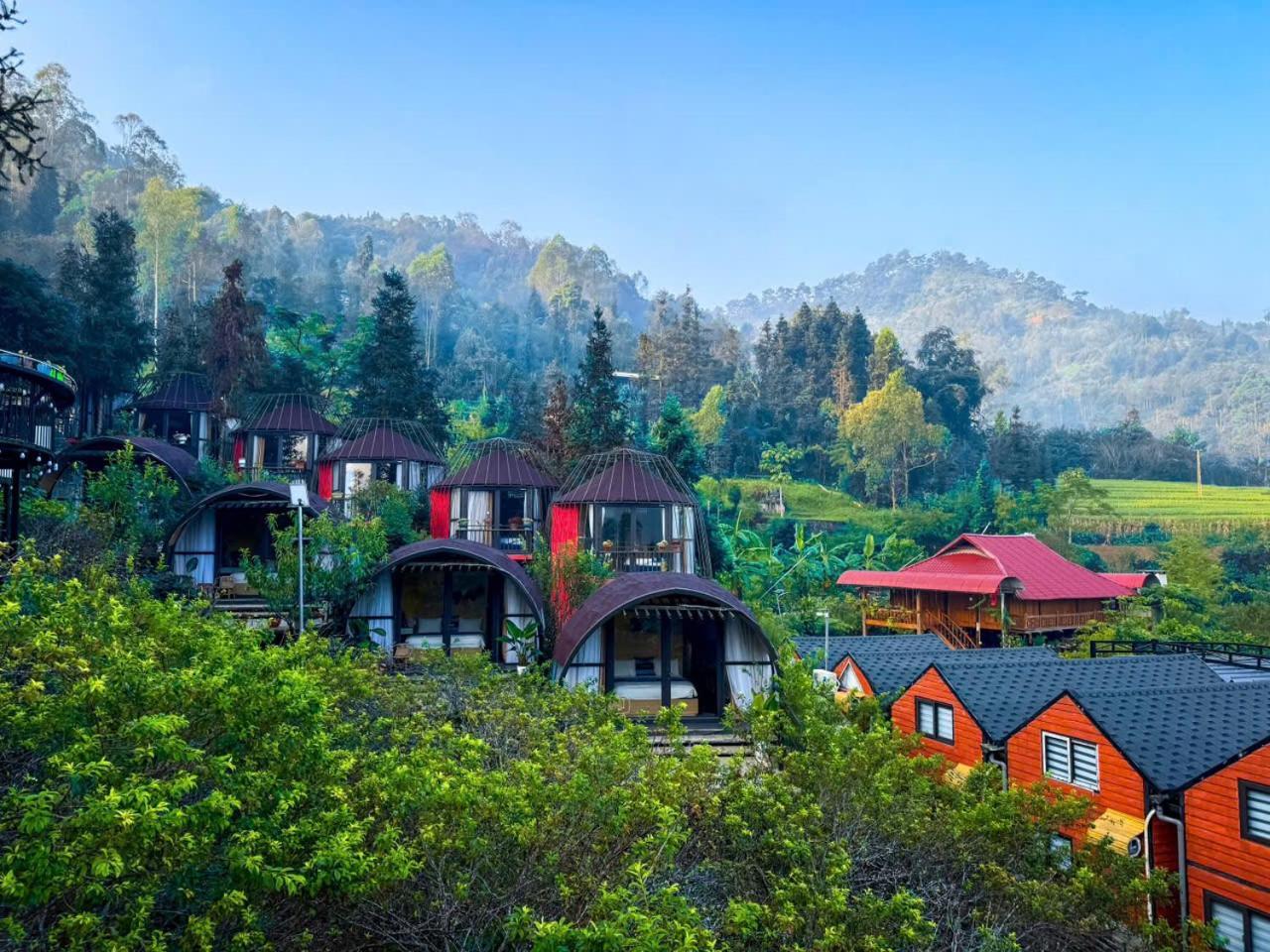 Resort Plum Homestay