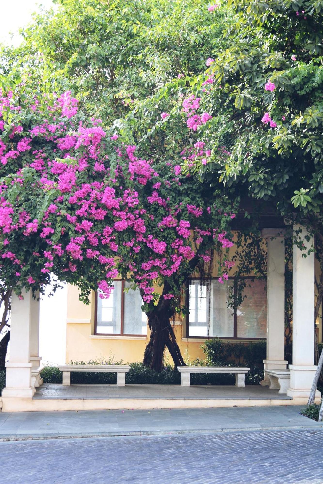 Căn hộ Ho Nha Co Tam , Sunset Town , Phú Quốc