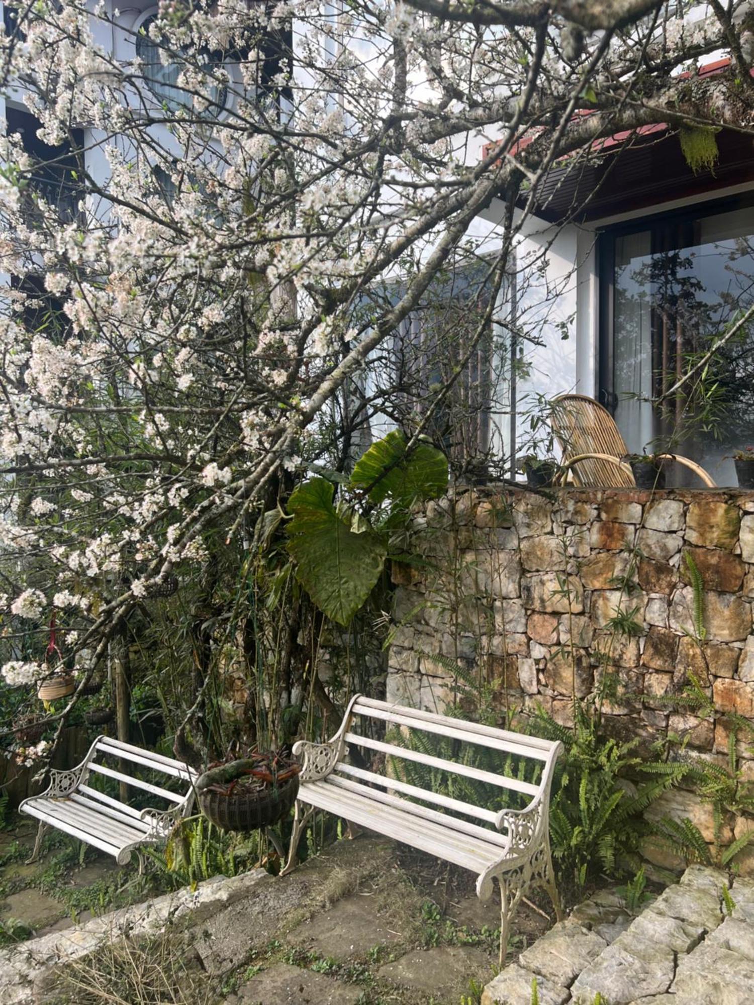 Green Villa Sapa 4* Sapa