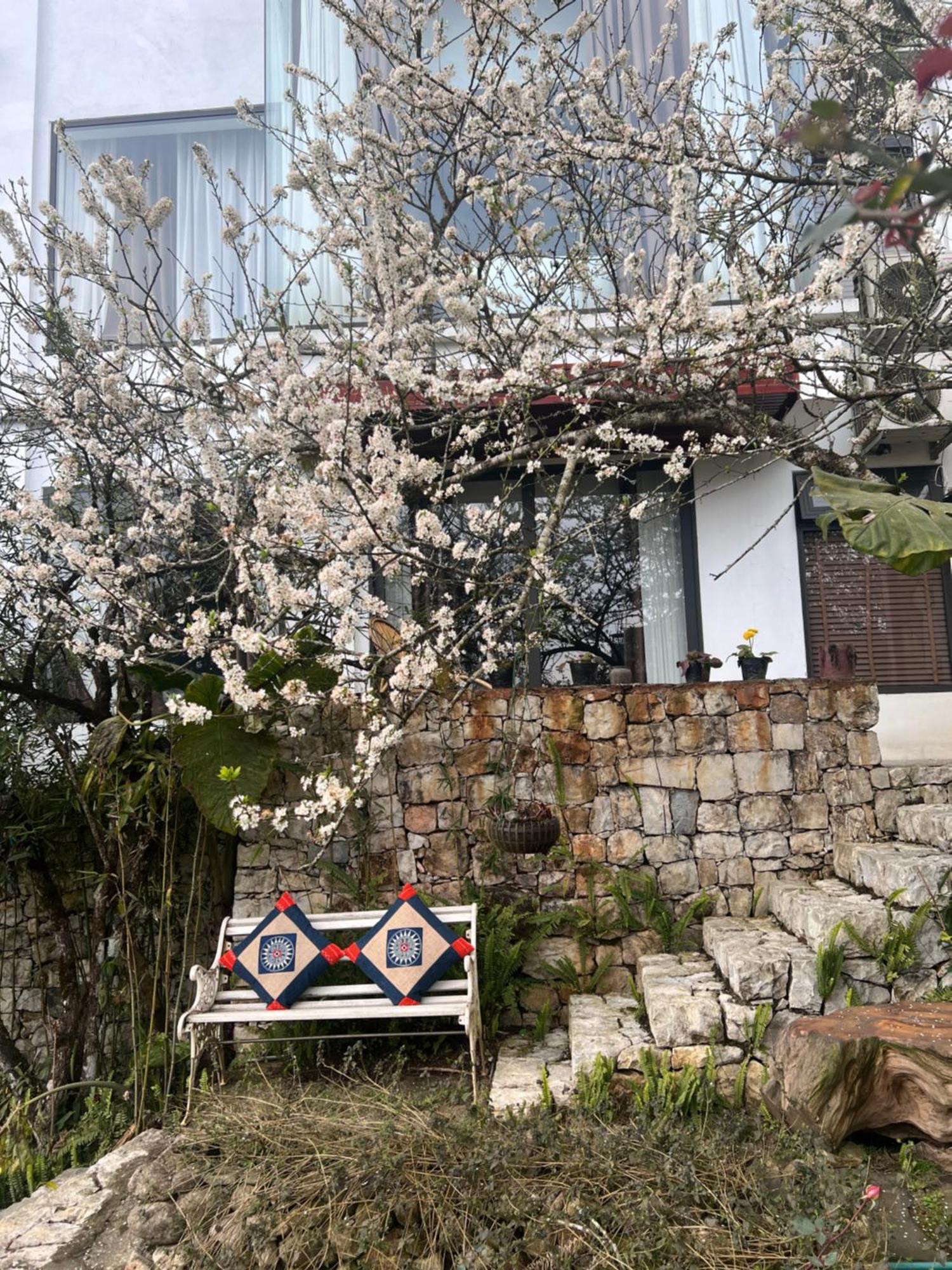 Green Villa Sapa Sapa