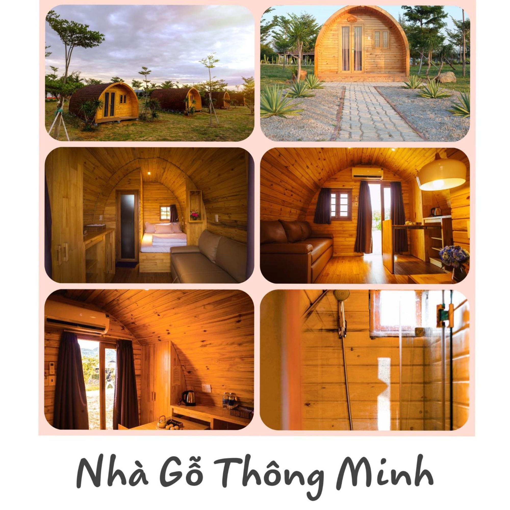 Tanyoli * Phan Rang