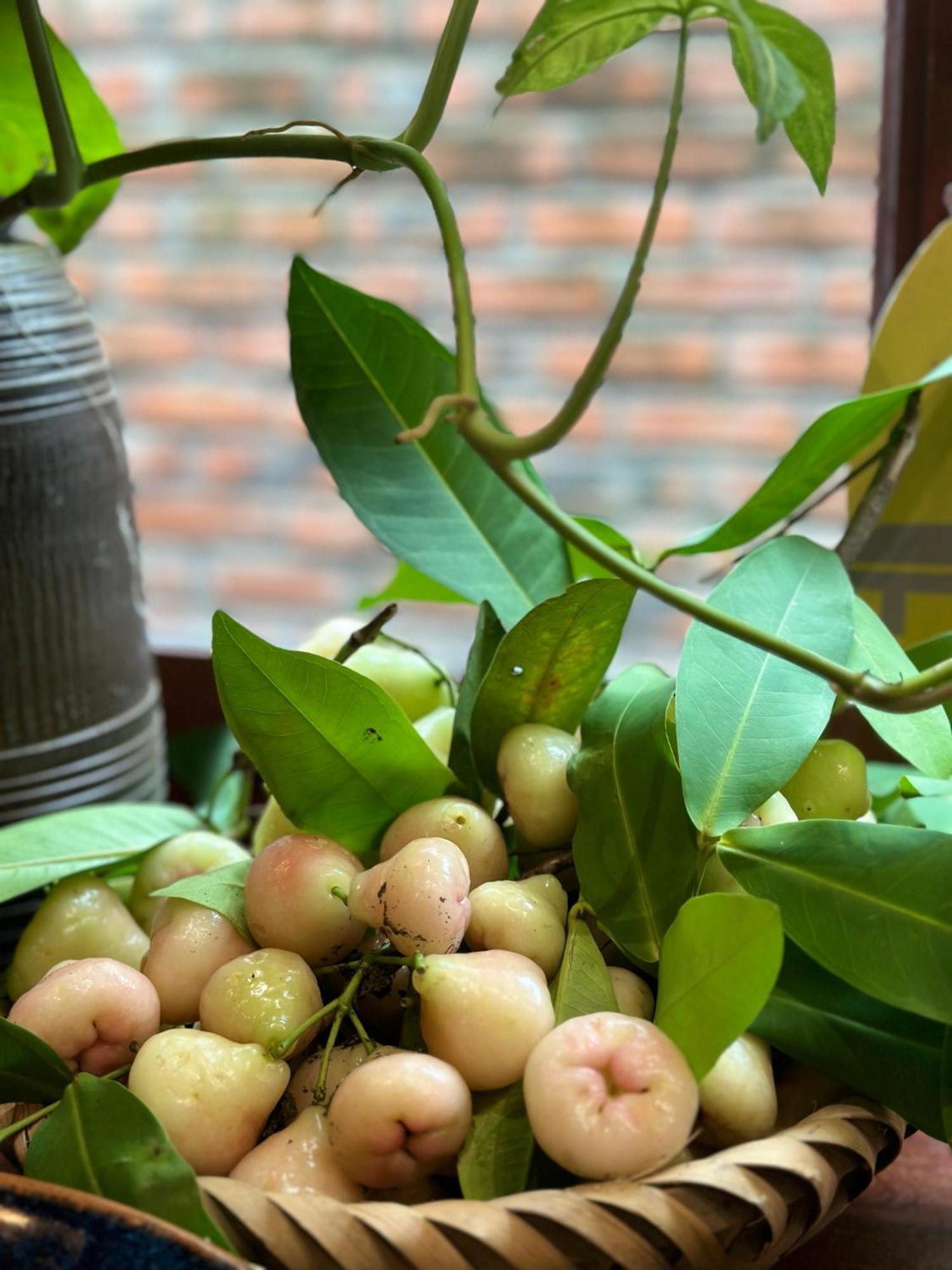 Trang An Heritage Garden Hostel