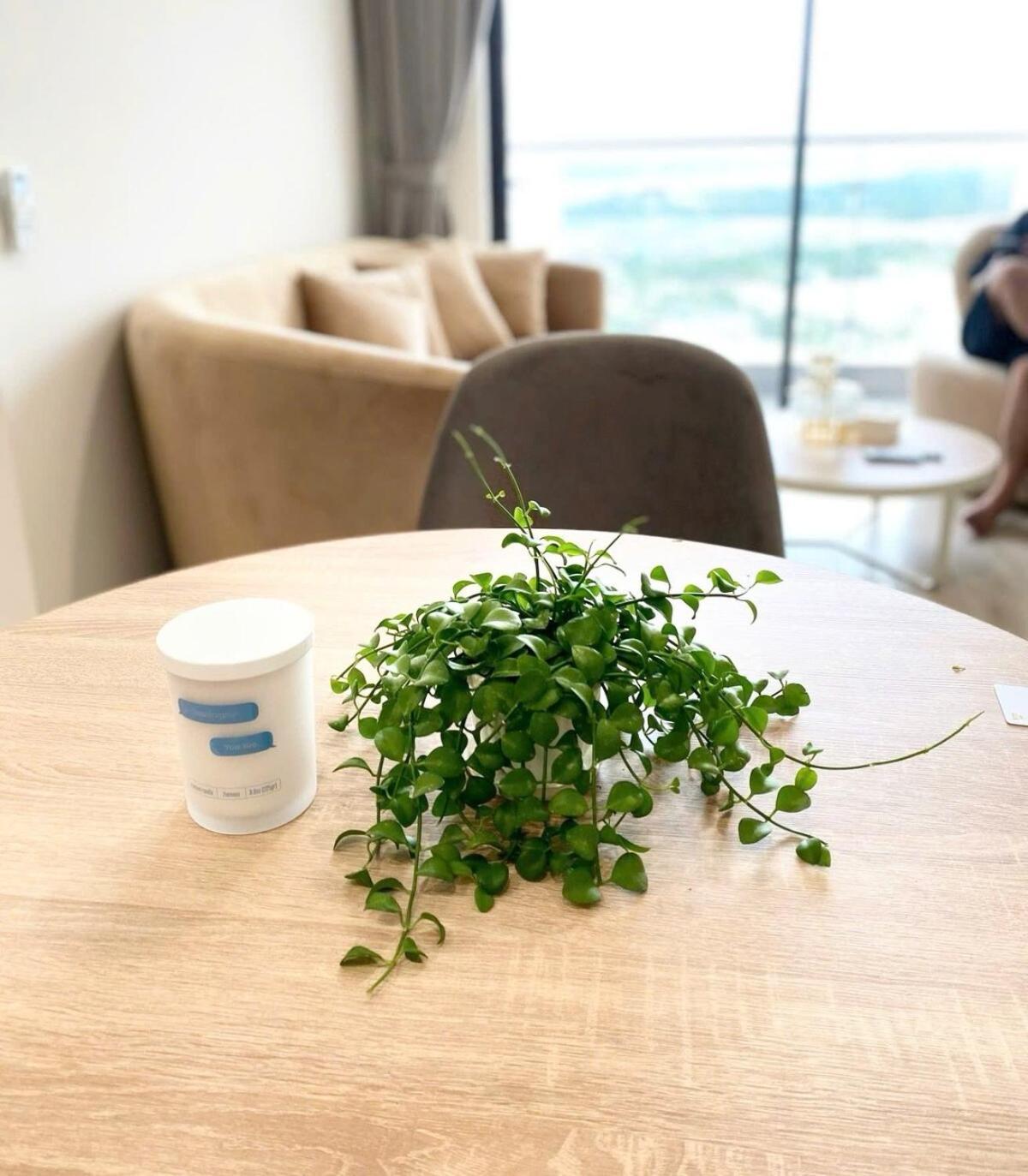 Shi House 17 - Mesterise Centre Point Apartment