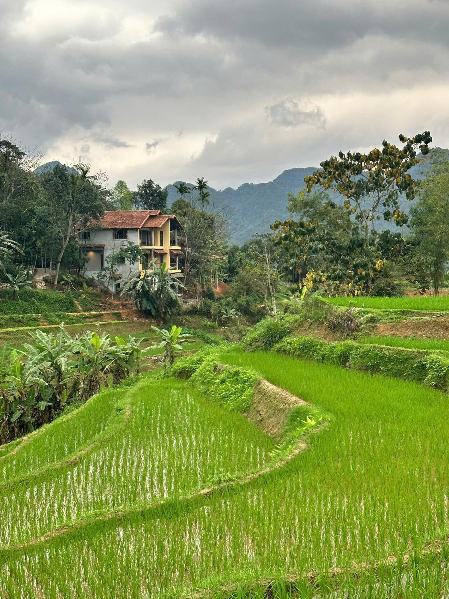 Boutique Garden Resort 4*