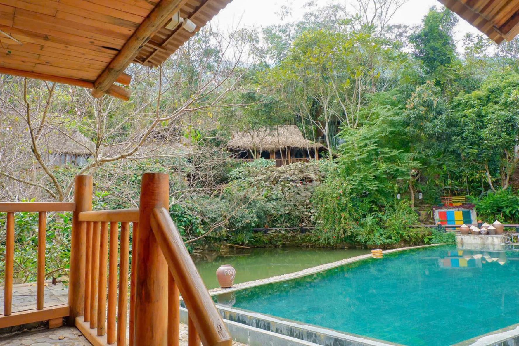 Jungle