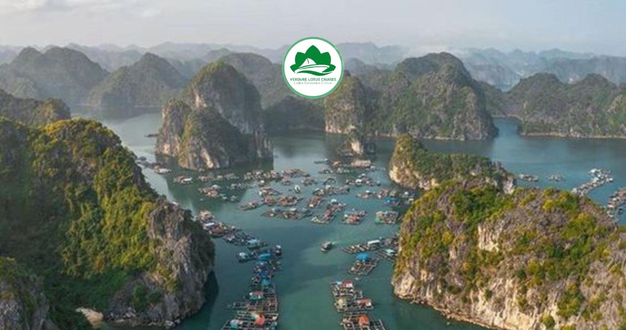 Verdure Lotus Classic Cruise  5*