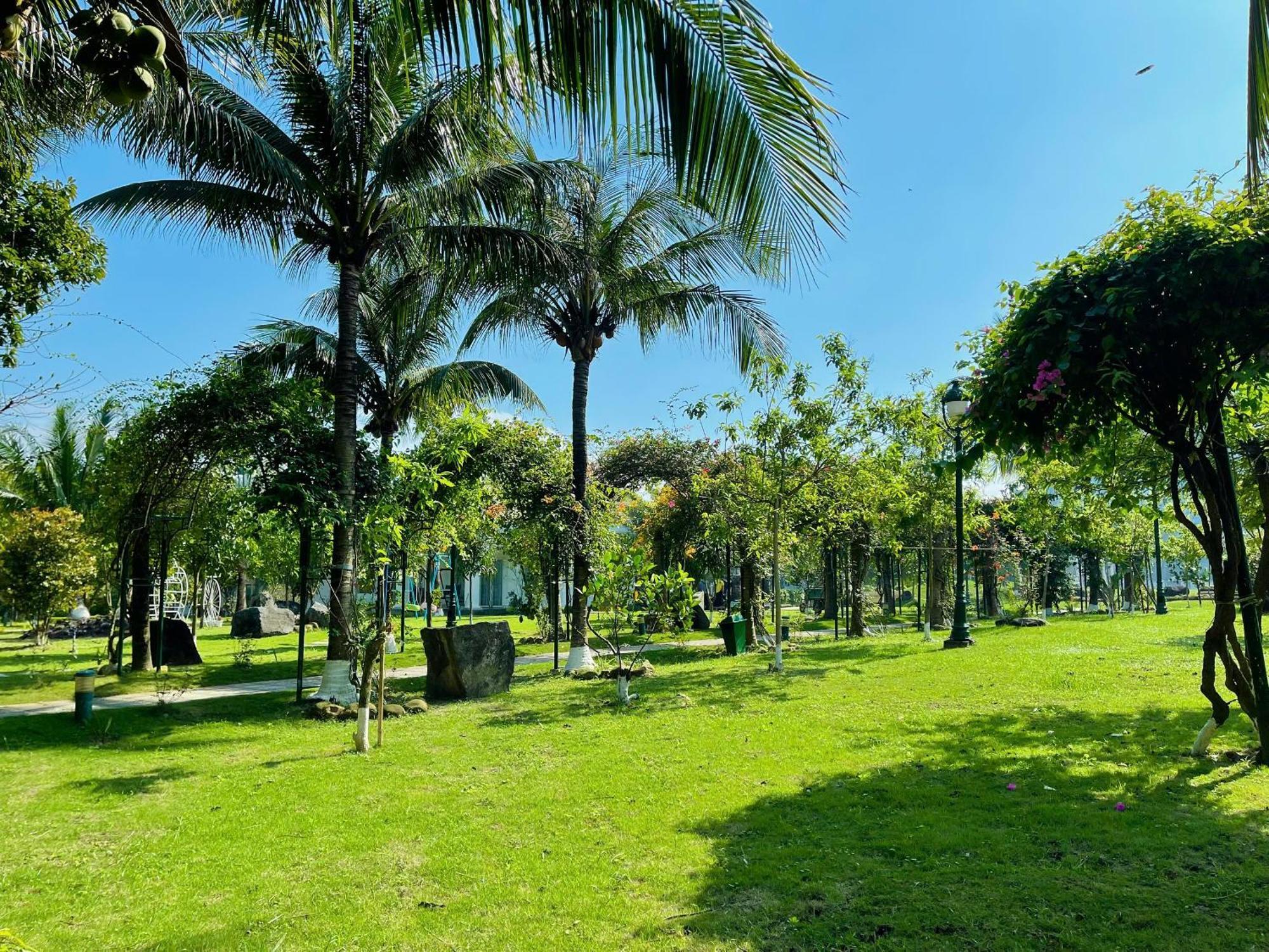 Resort Gold Coast & 5*