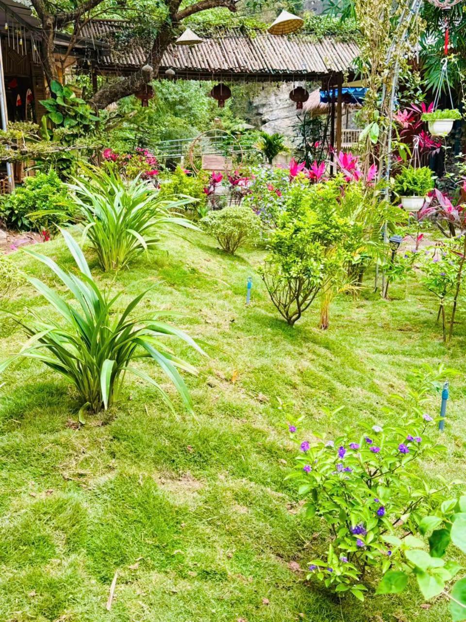 Homestay Valley - Thung Lung Xanh
