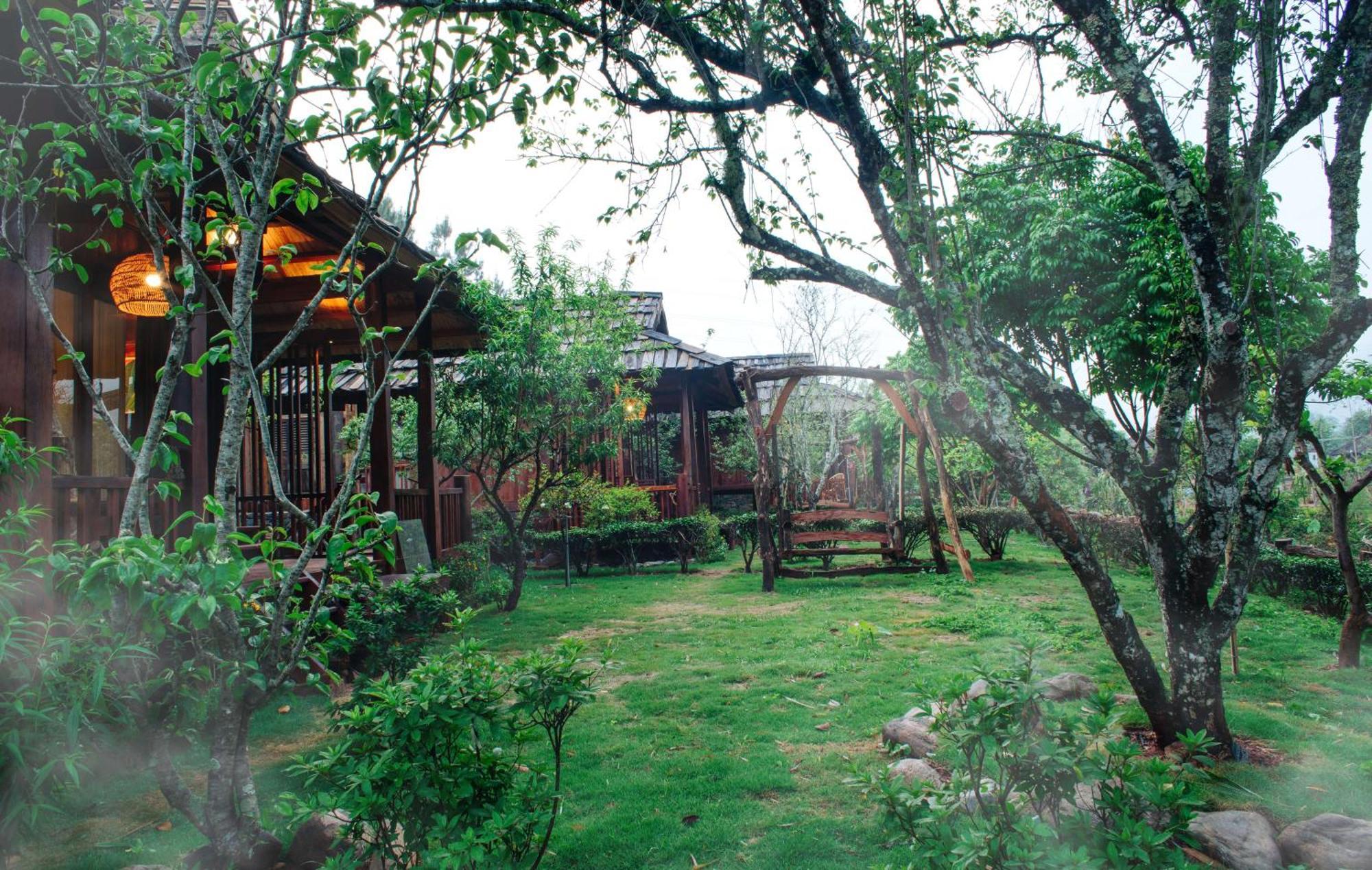 Resort Natalie's &