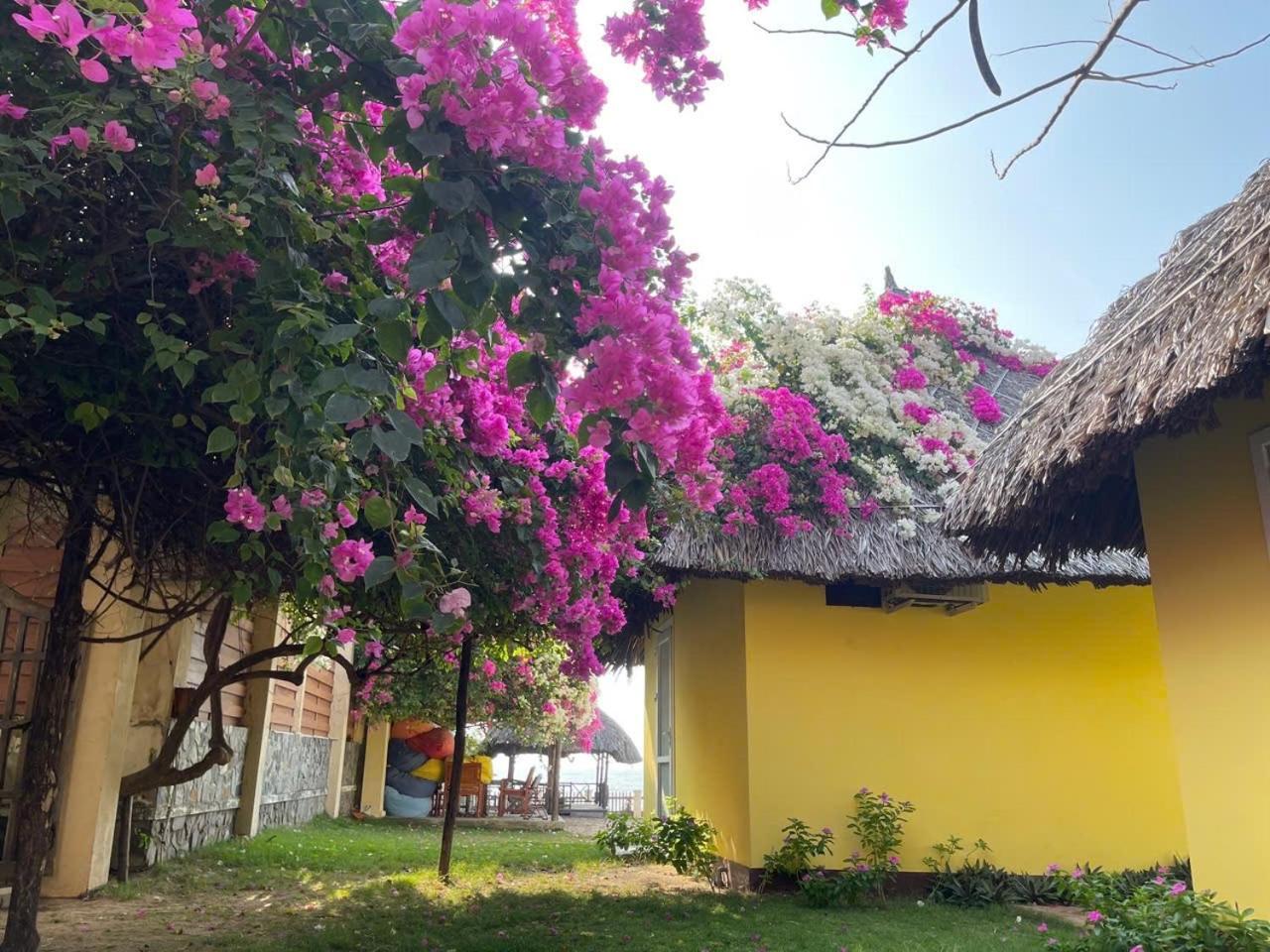 Orchid Boutique Resort Phan Thiet