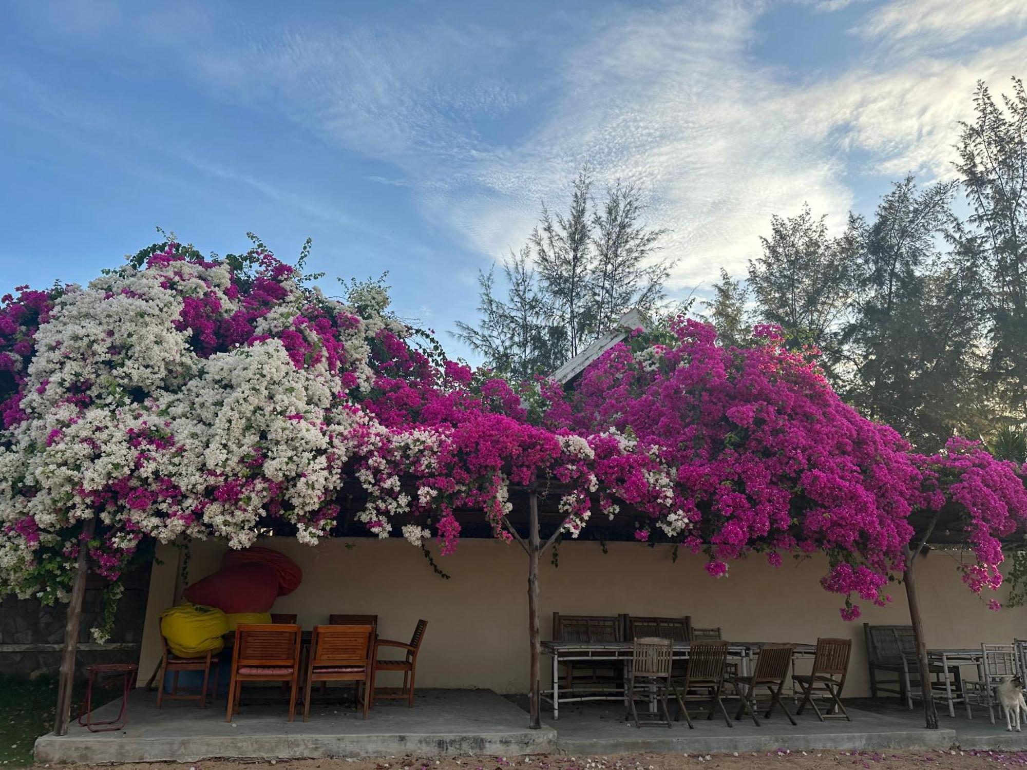Orchid Boutique Phan Thiet