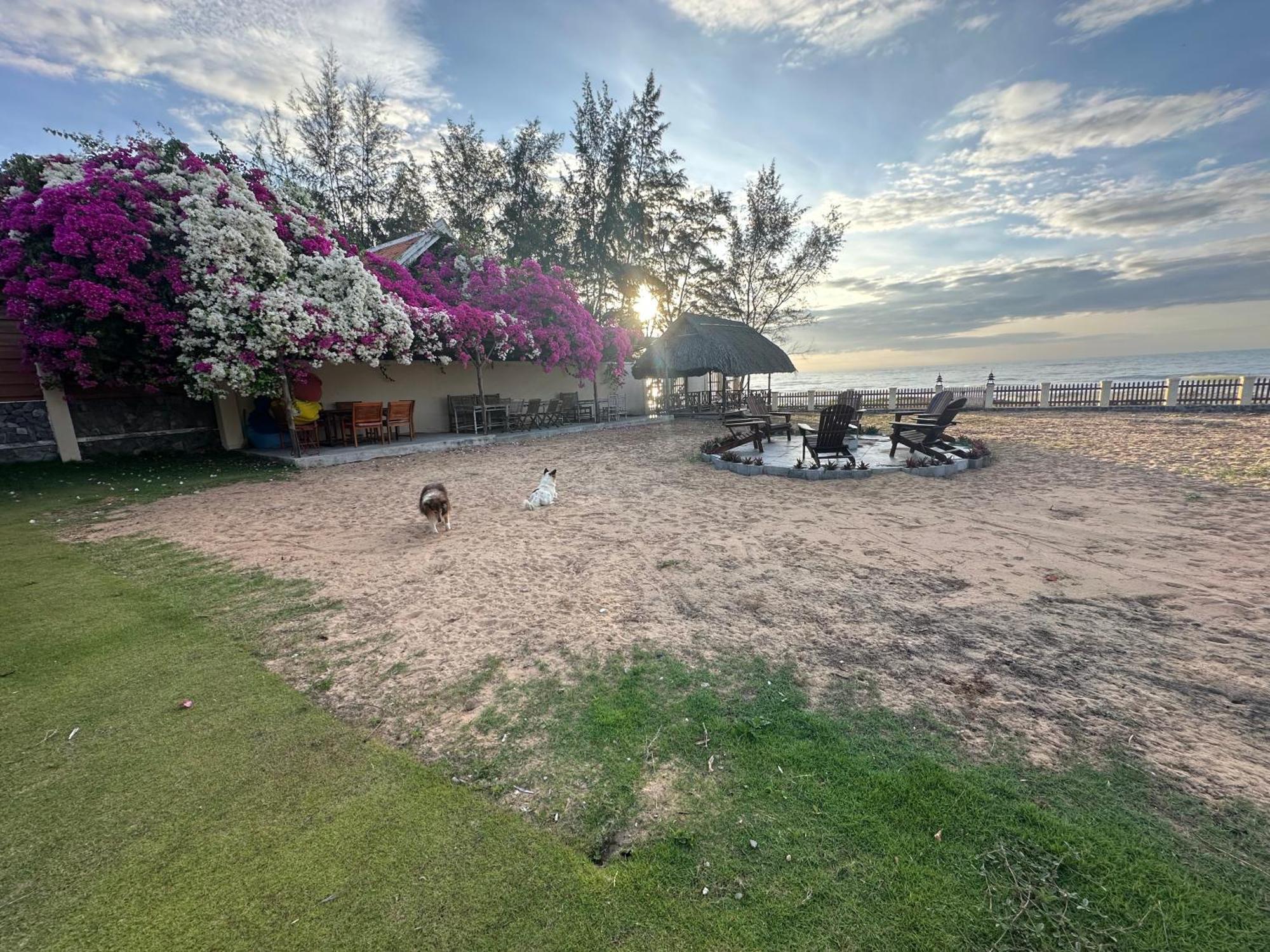 Orchid Boutique 3* Phan Thiet