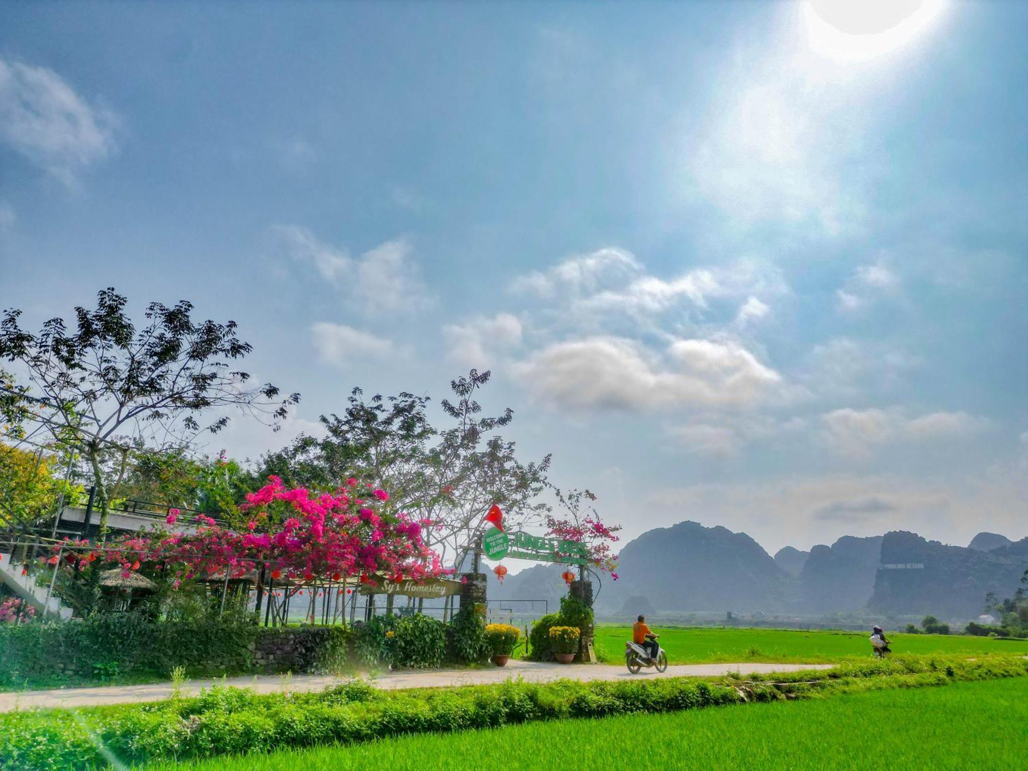 Jungle Boss Travel Homestay Phong Nha