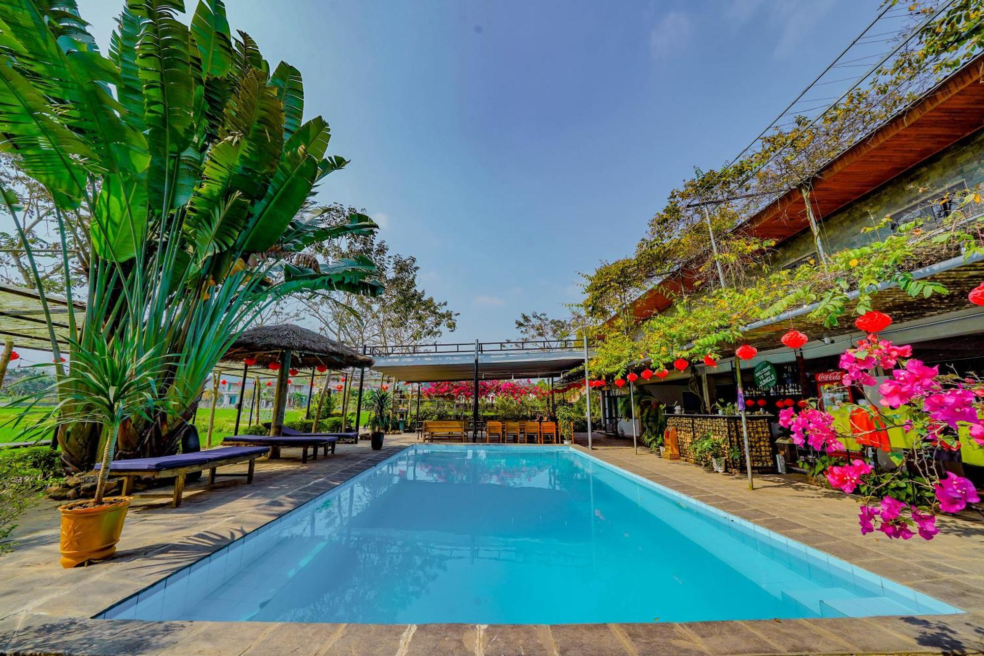 Ở trọ Jungle Boss Travel Phong Nha