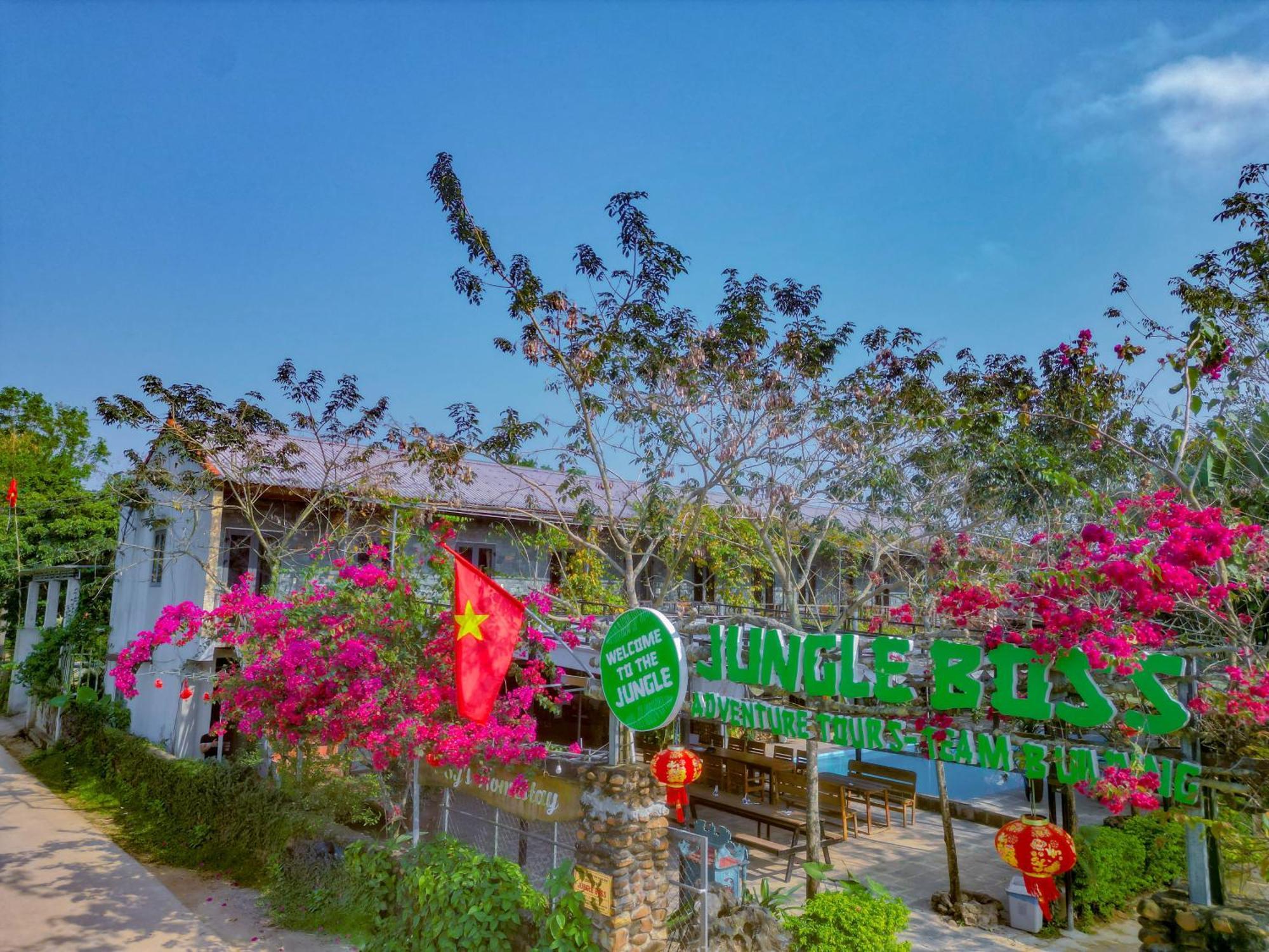 Jungle Boss Travel *