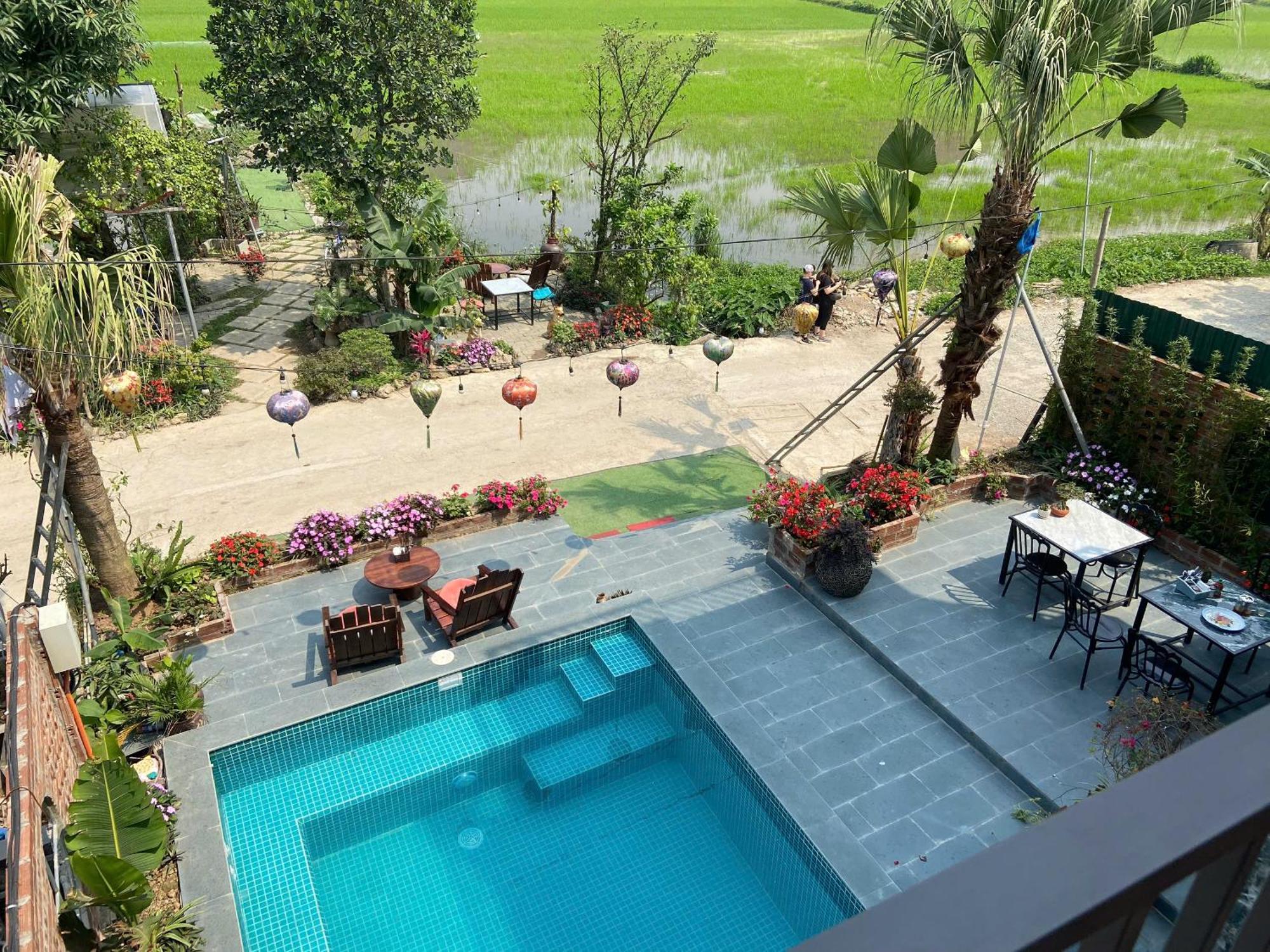 Tam Coc Mountain View Homestay