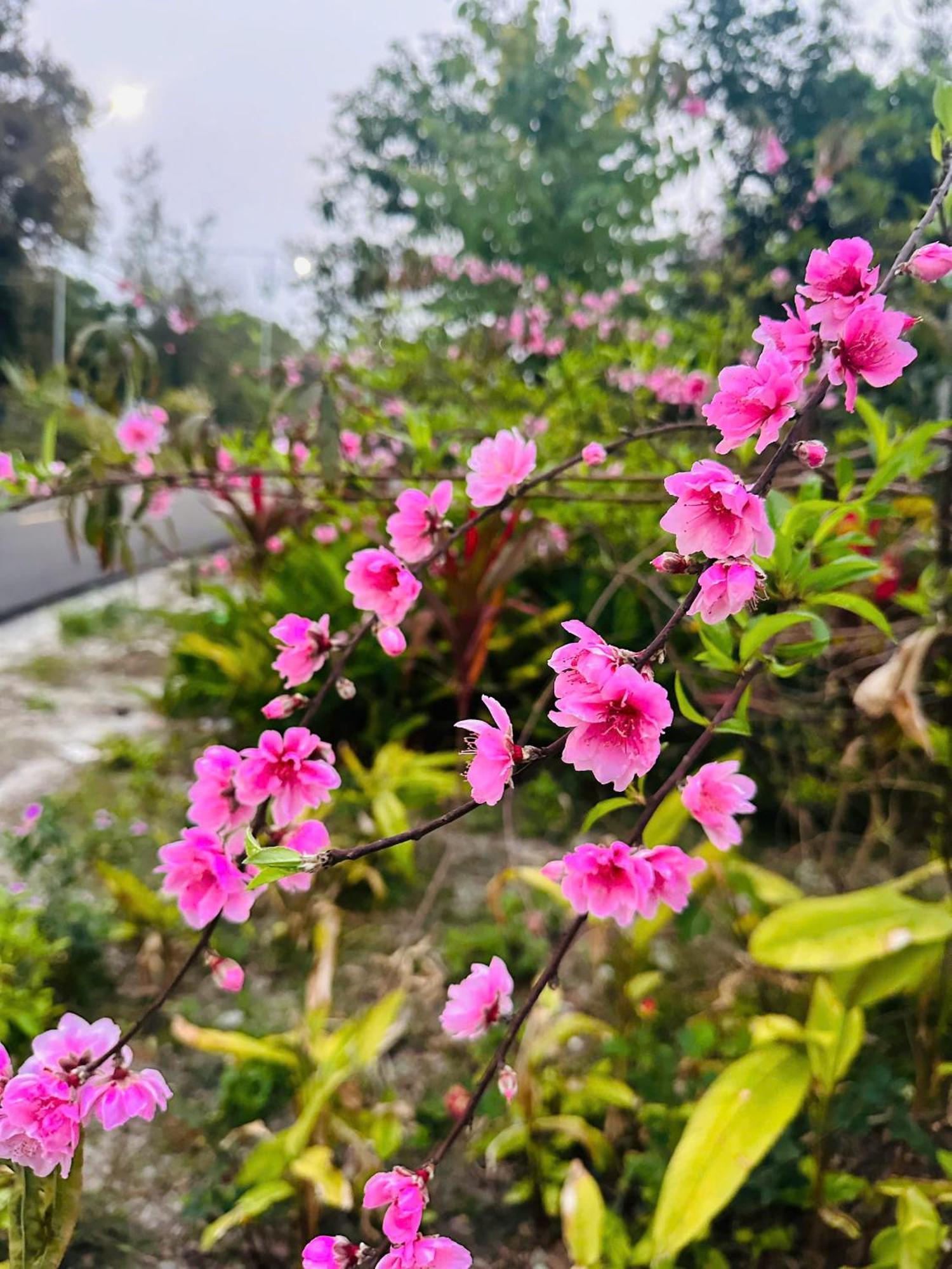 Minh Chau Resort