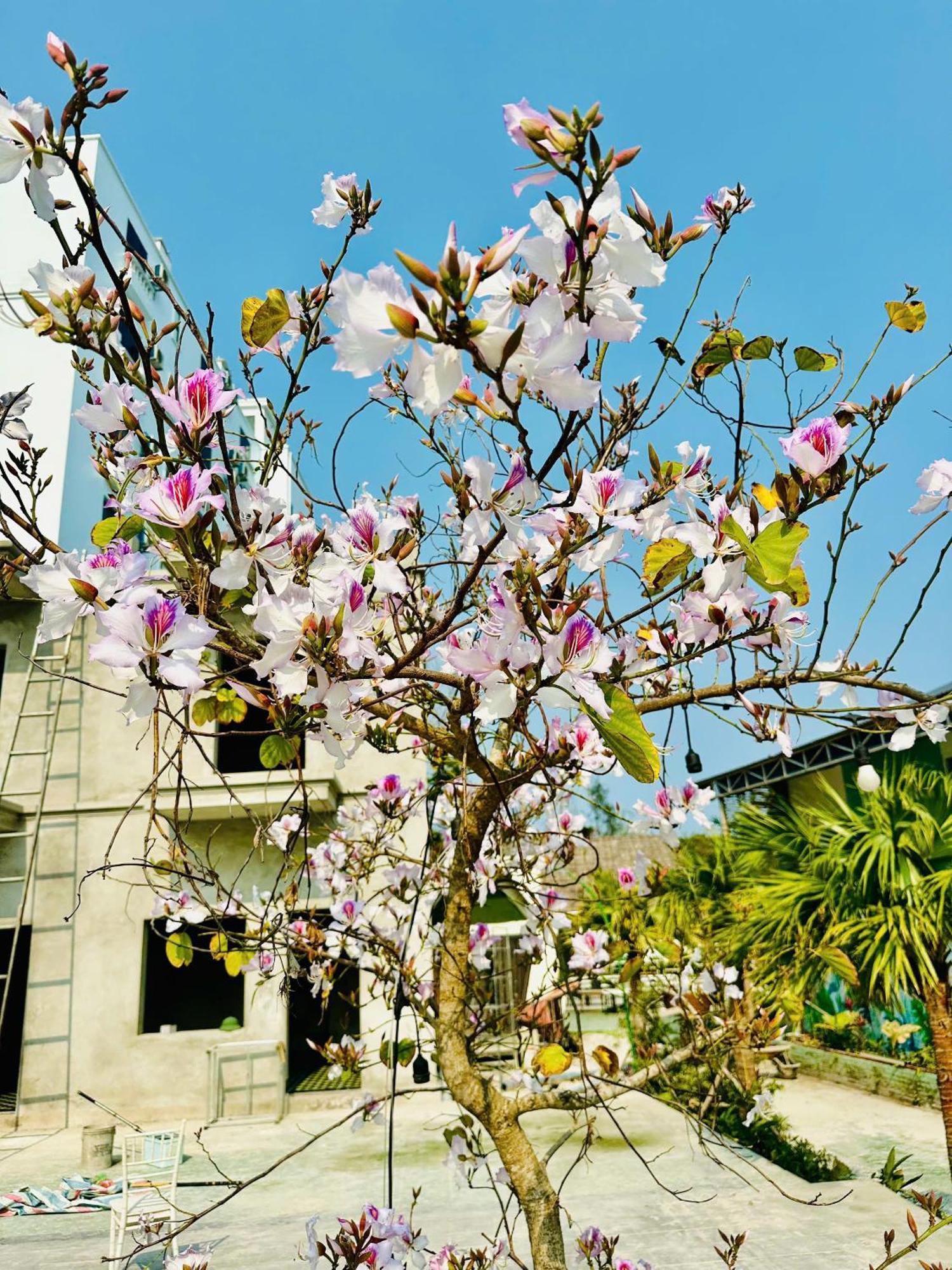 Minh Chau Resort 4*