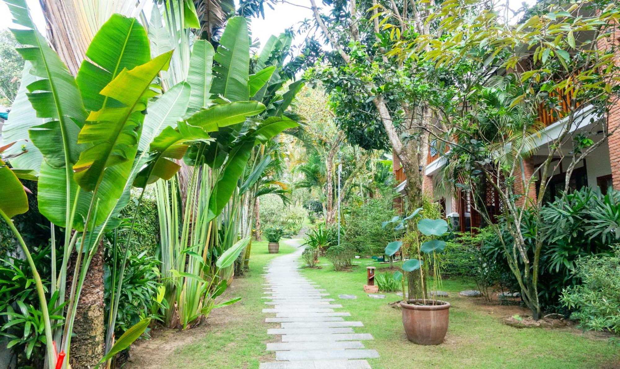 Resort Nadine & 4*
