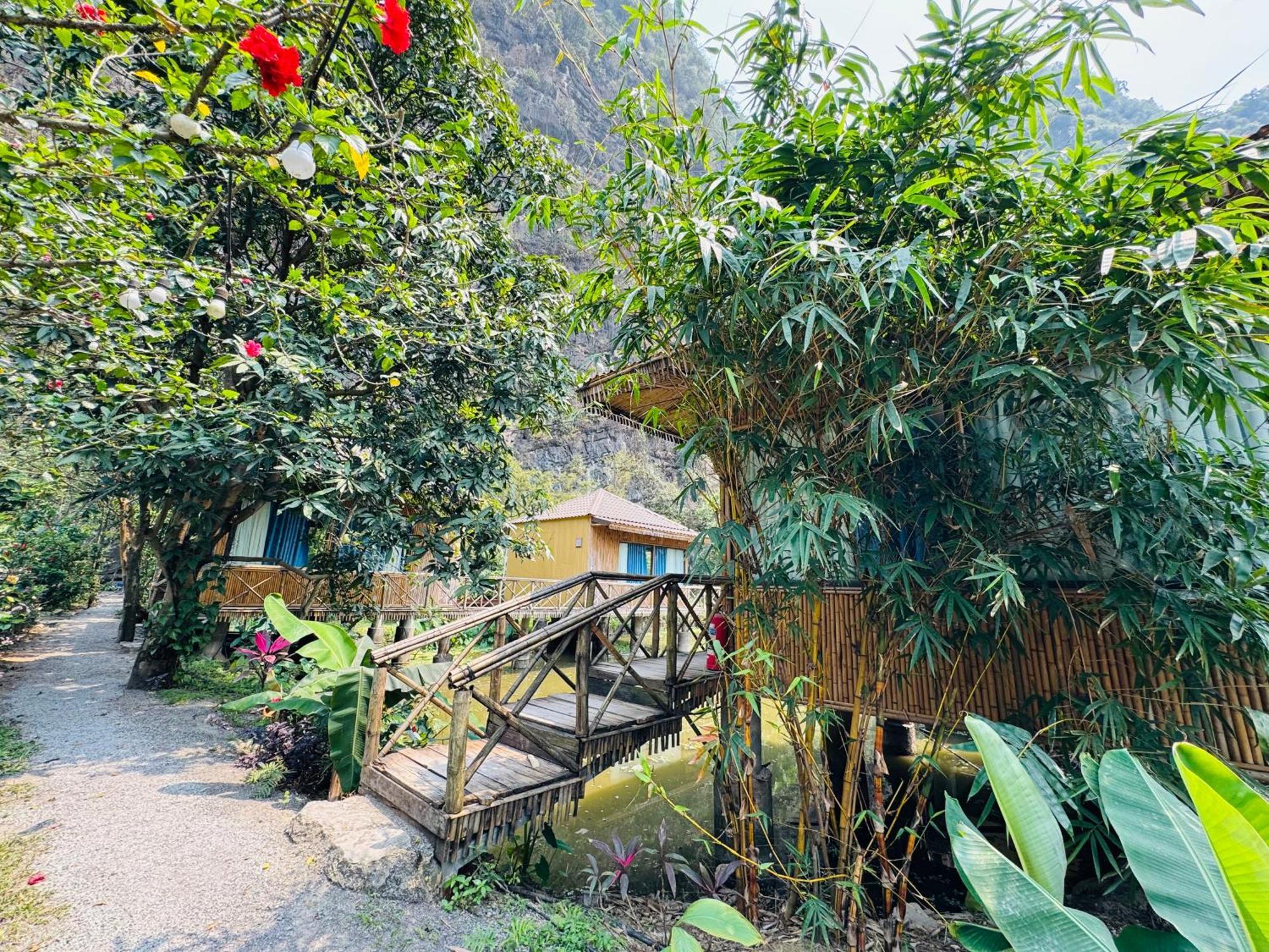 Valley - Thung Lung Xanh * Nguyen Ngoai