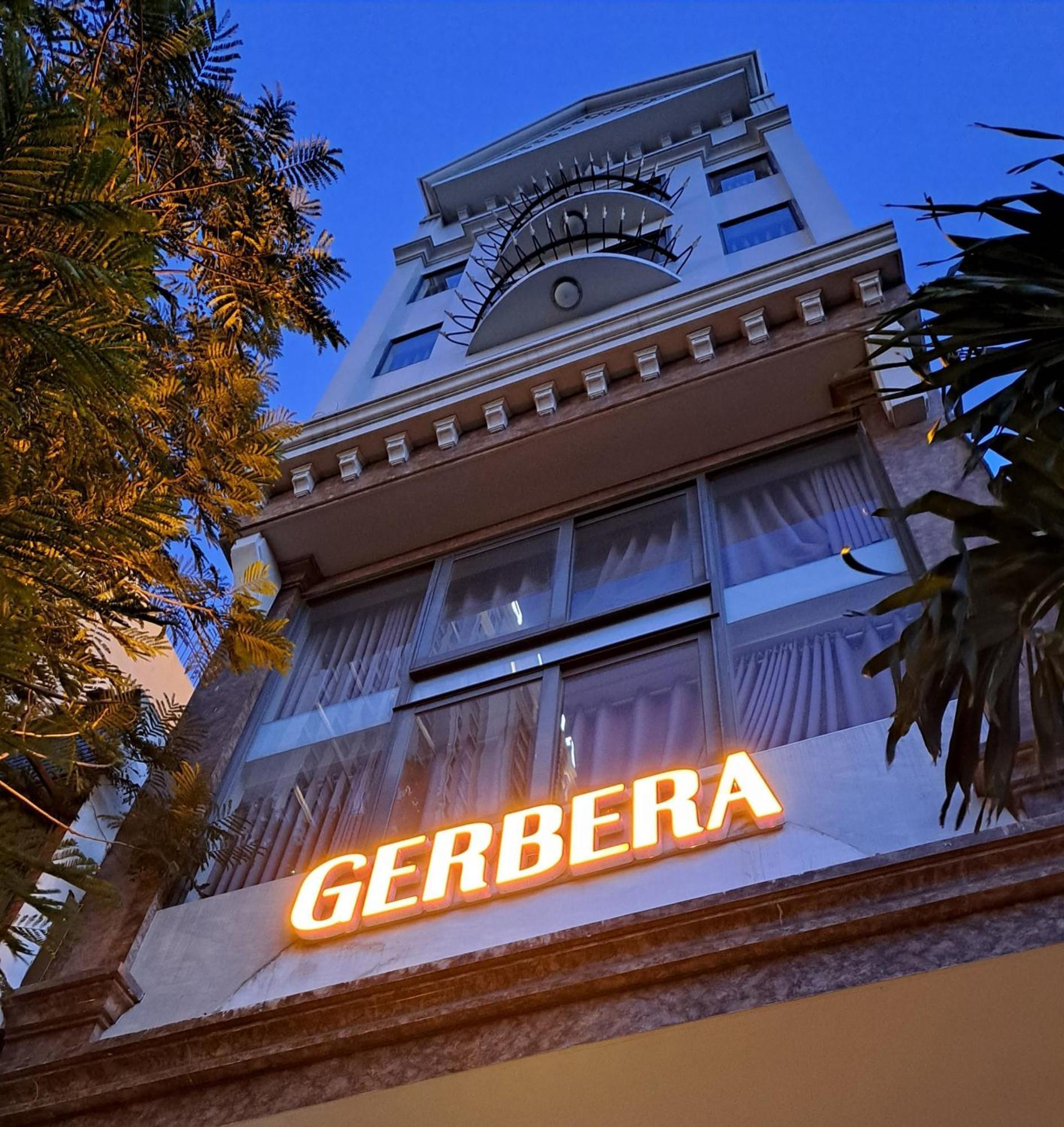 Gerbera