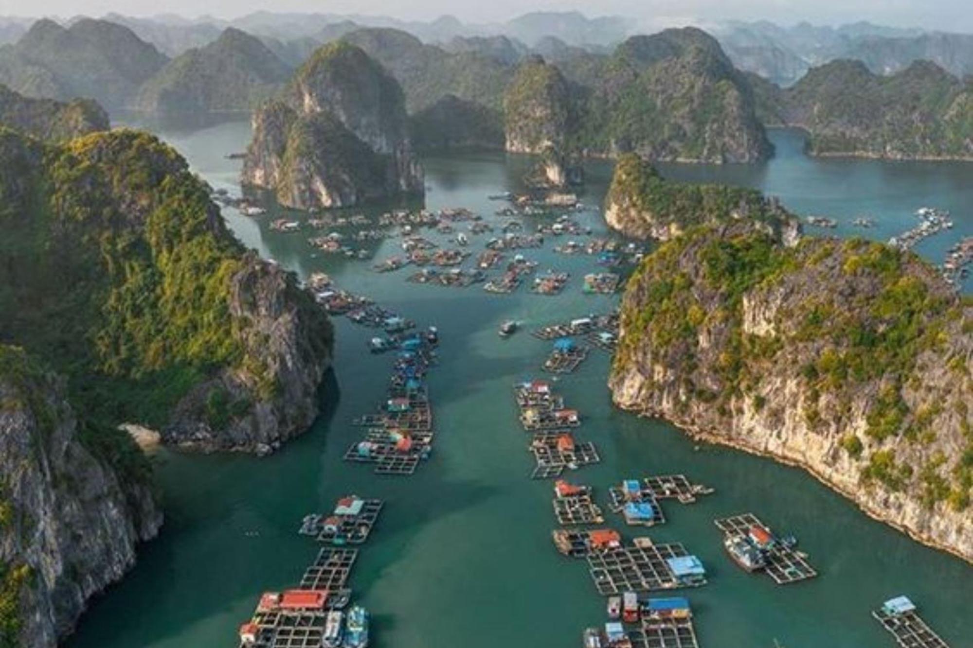 Verdure Lotus Luxury Cruise  Ha Long