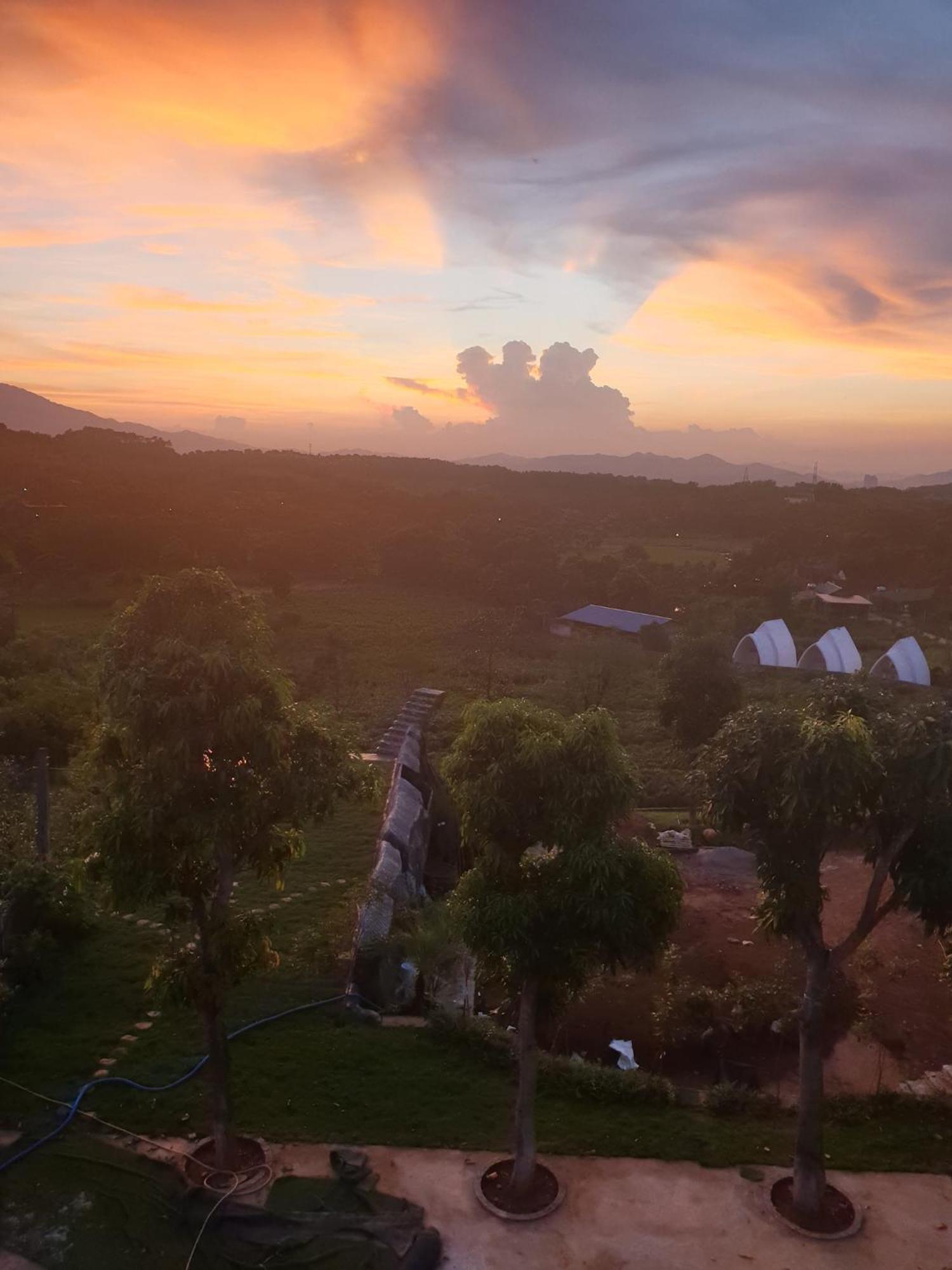 King Bavi Resort
