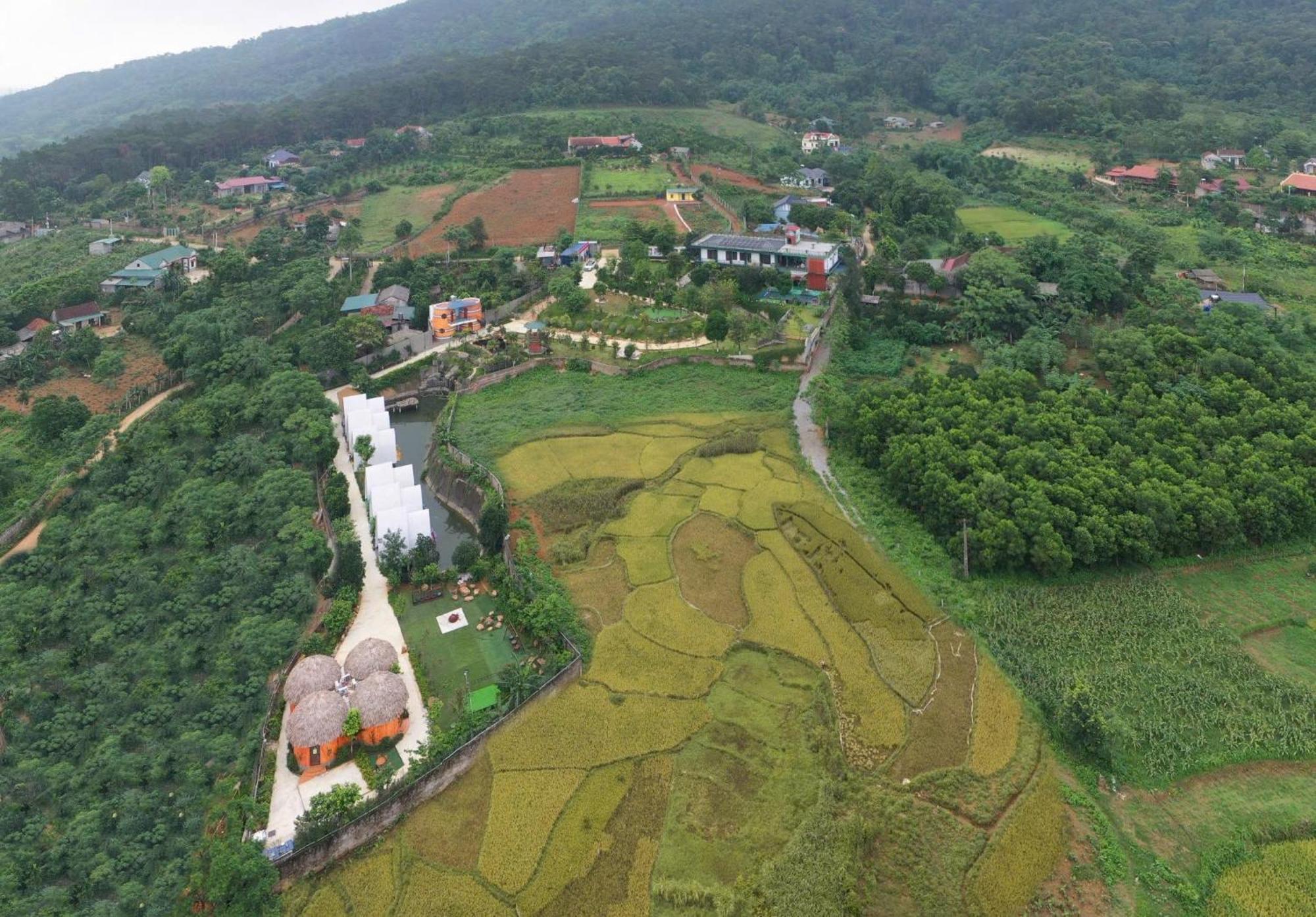 King Bavi Resort