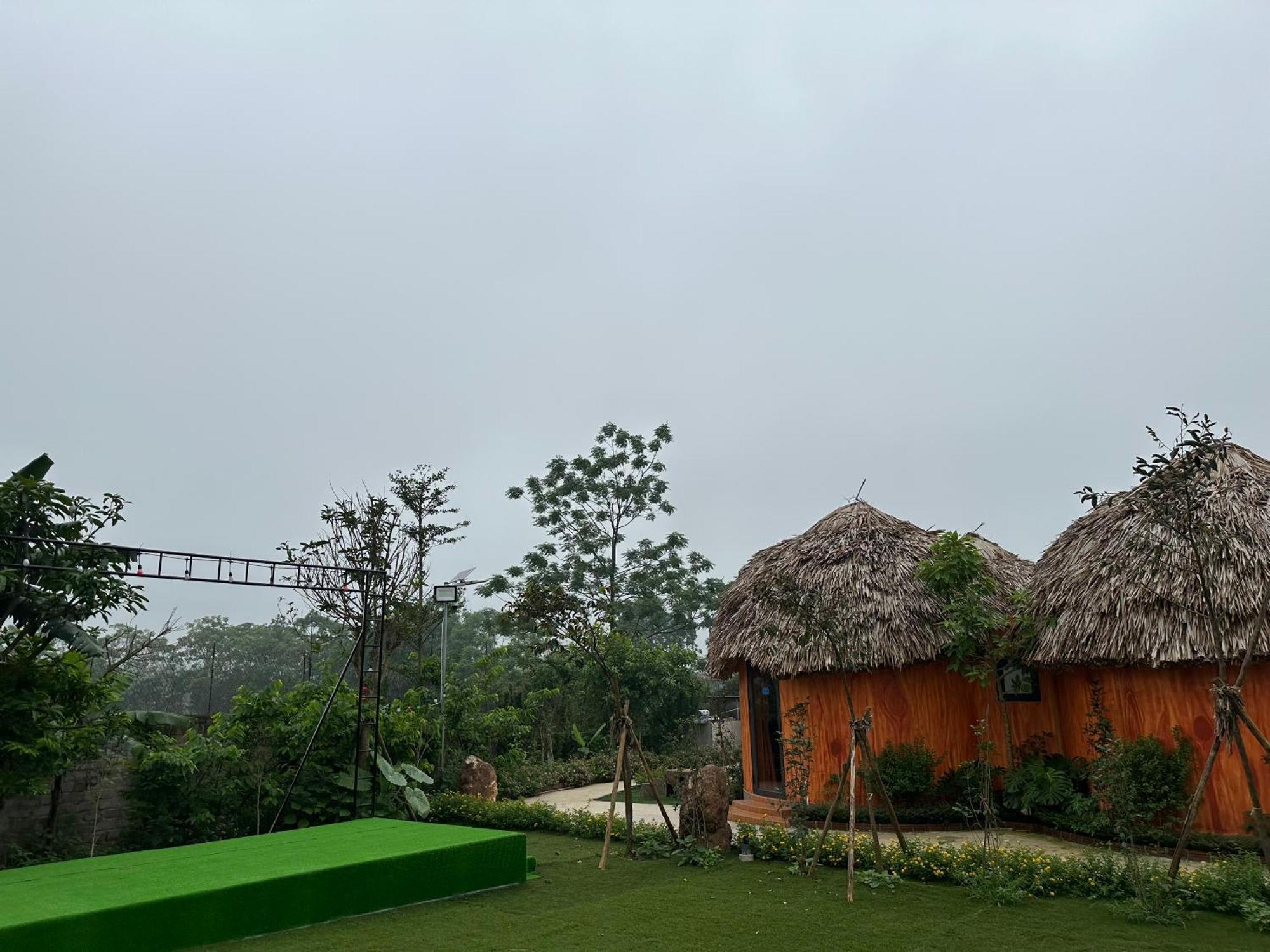 Resort King Bavi