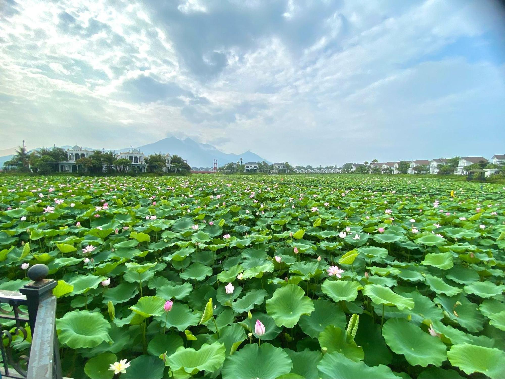 Lotus Vuon Vua Hotel 5*
