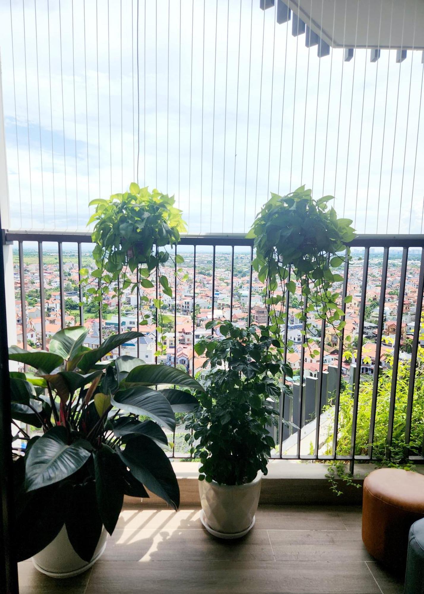 Tho's -can Ho 2n2wc Khu Onsen, Khu Ho Cao Cap Nhat Tai Ecopark Hung Yen Apartment Xuan Quan