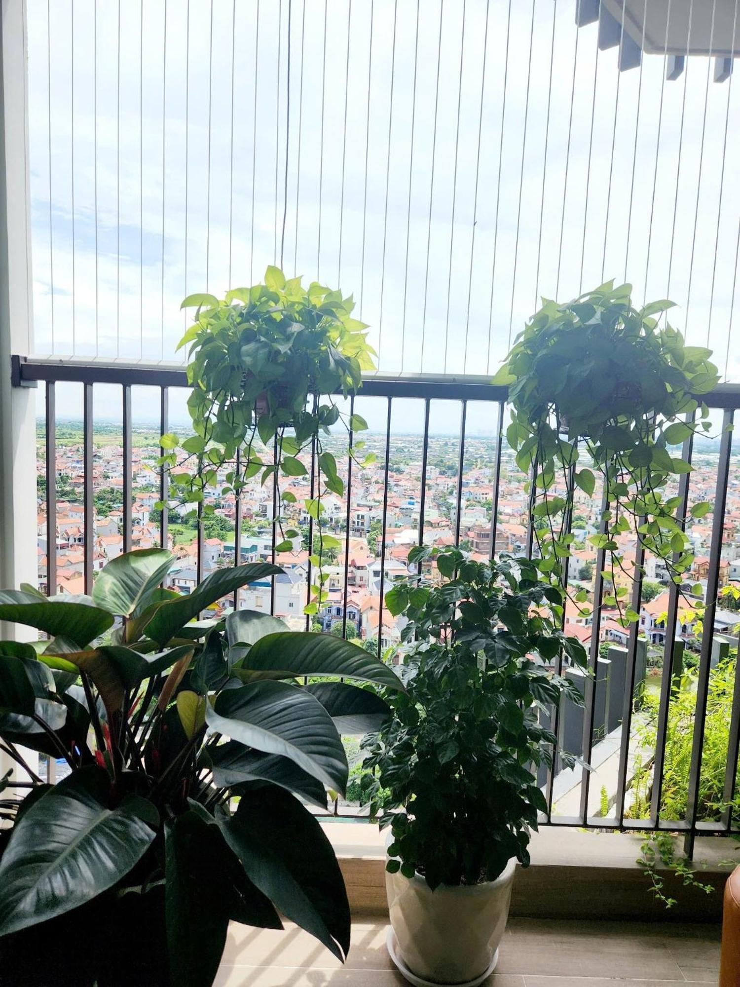 Tho's -can Ho 2n2wc Khu Onsen, Khu Ho Cao Cap Nhat Tai Ecopark Hung Yen Apartment *