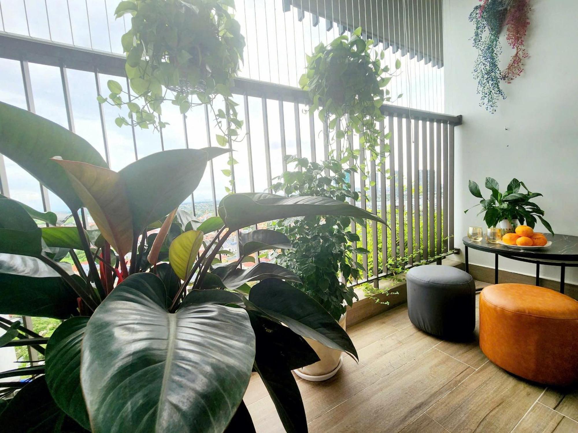 Apartment Tho's -can Ho 2n2wc Khu Onsen, Khu Ho Cao Cap Nhat Tai Ecopark Hung Yen