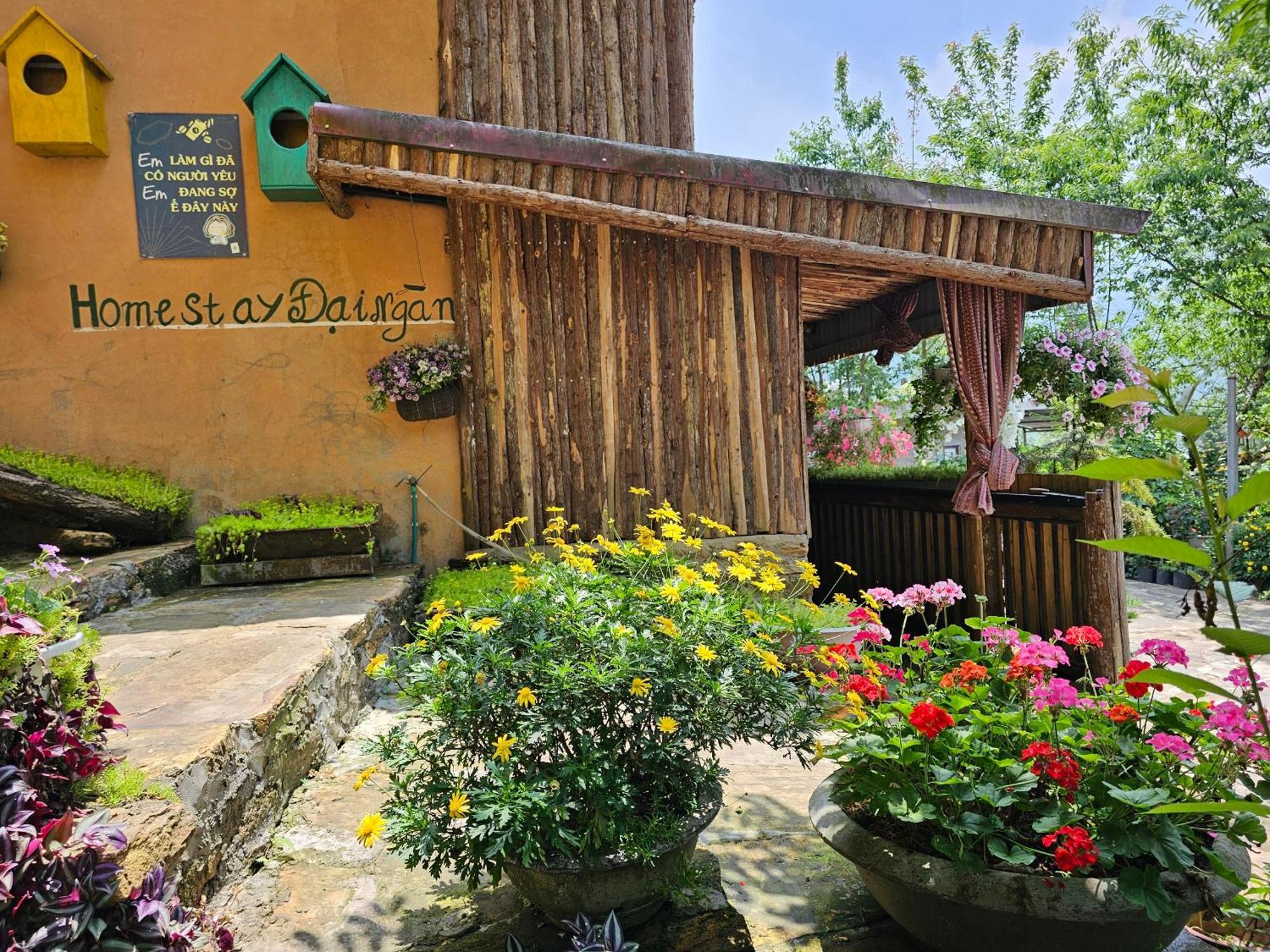 Lodge Y Ty Dai Ngan -